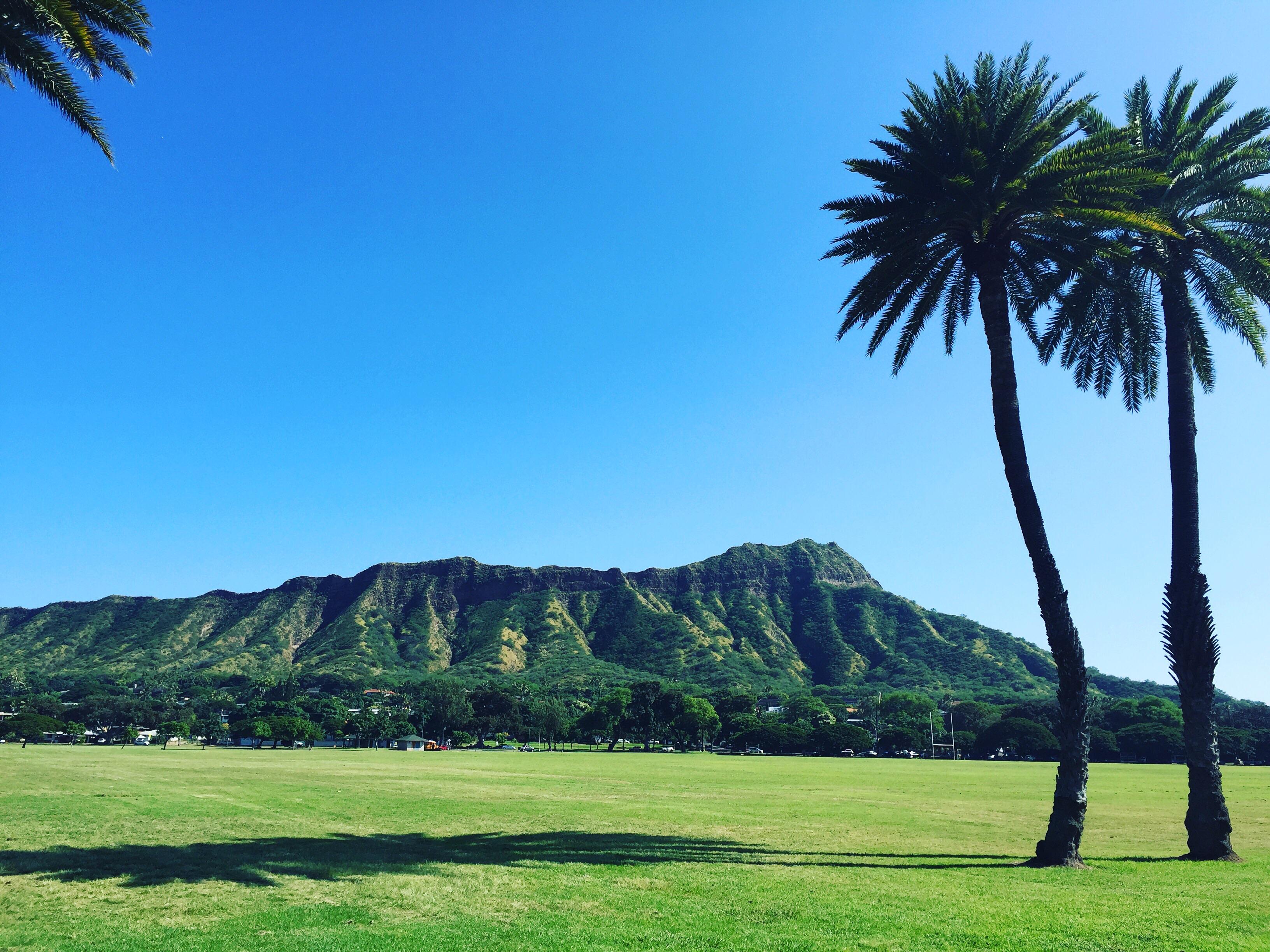 Diamond Head r/hawaiipics