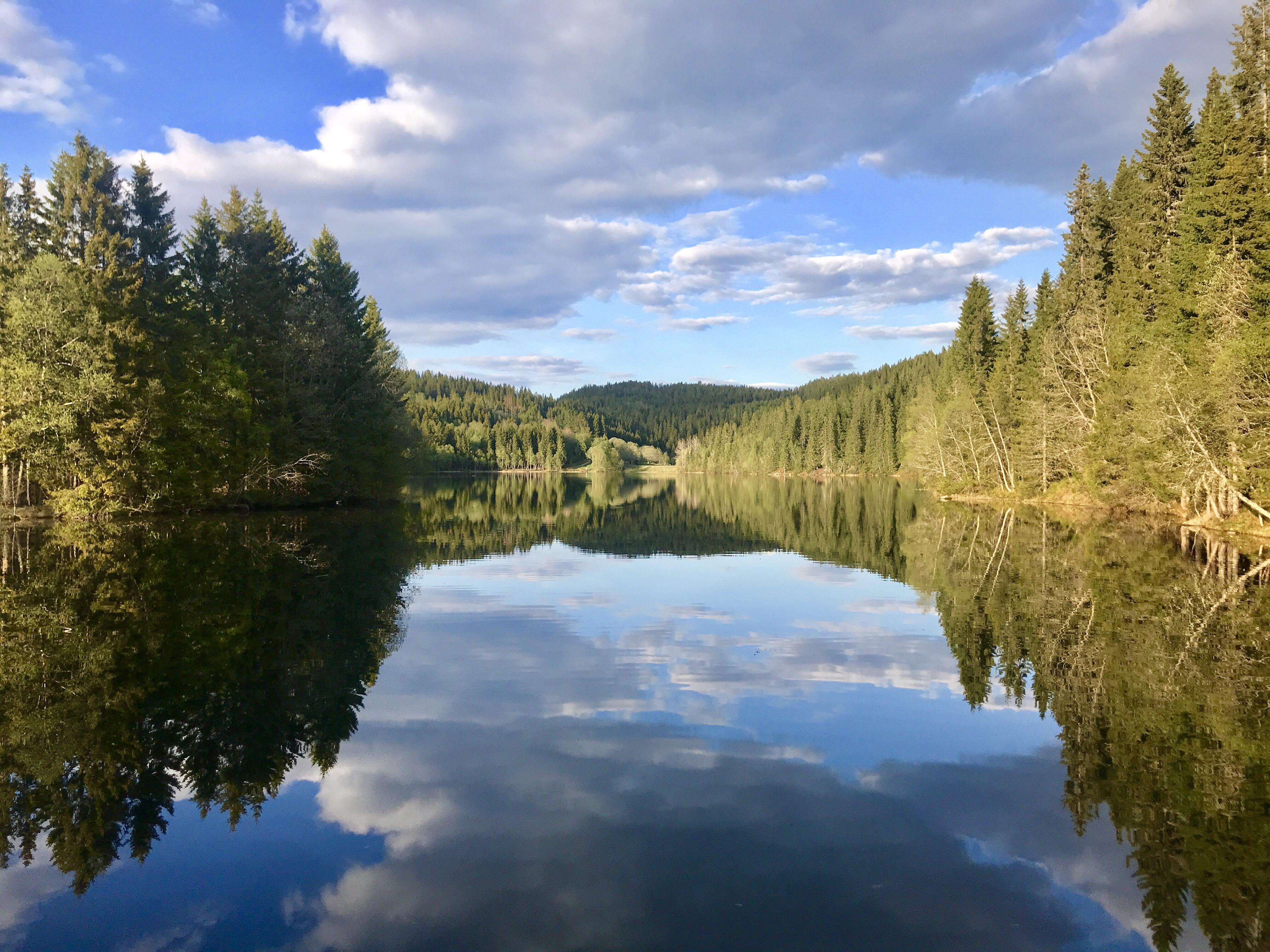 The lake behind our home in Trondheim, Norway [1334x750] [OC] r/EarthPorn