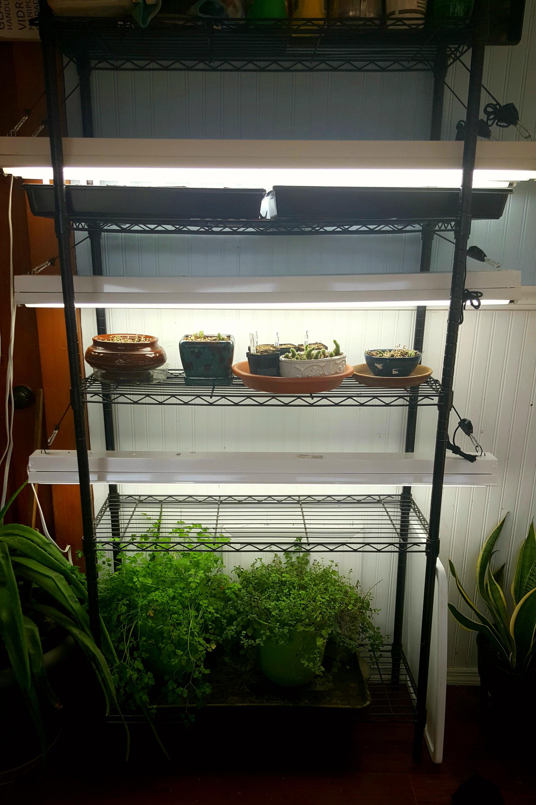 Seed starting shelf all set up... getting excited for spring! r/gardening