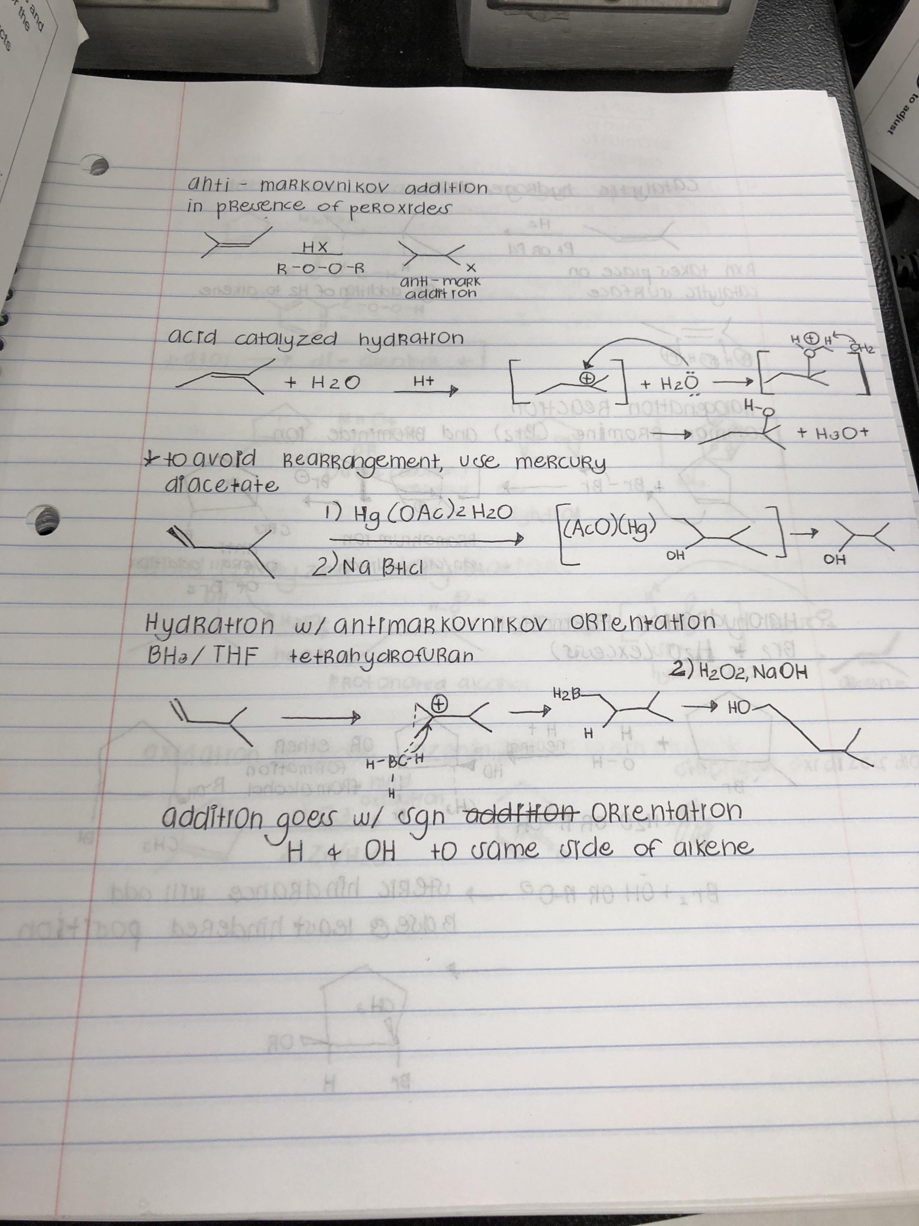 Found this ochem notebook in lab. All notes were this nice and clean
