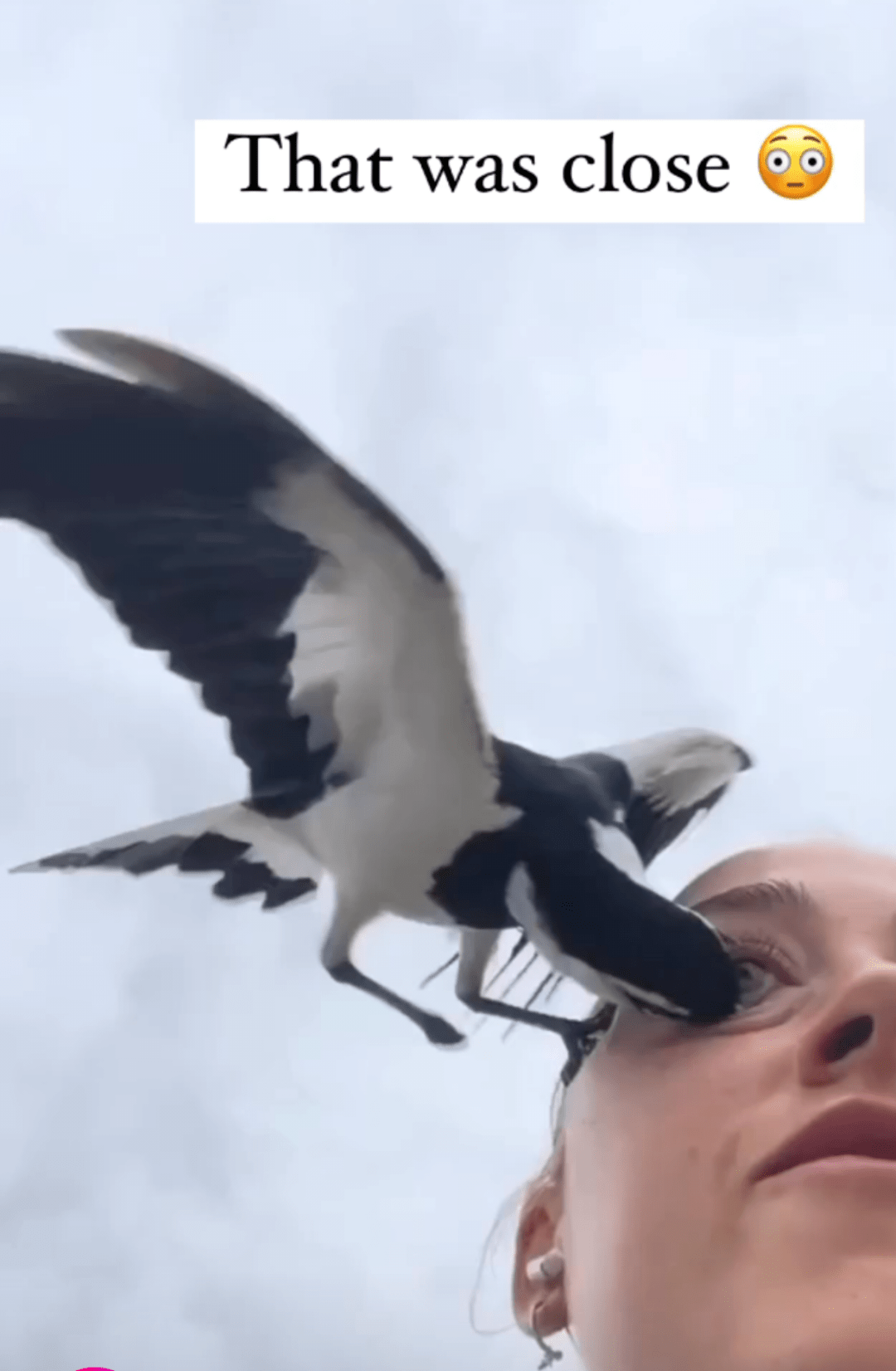 Royal Mcpoyle at it again! r/IASIP