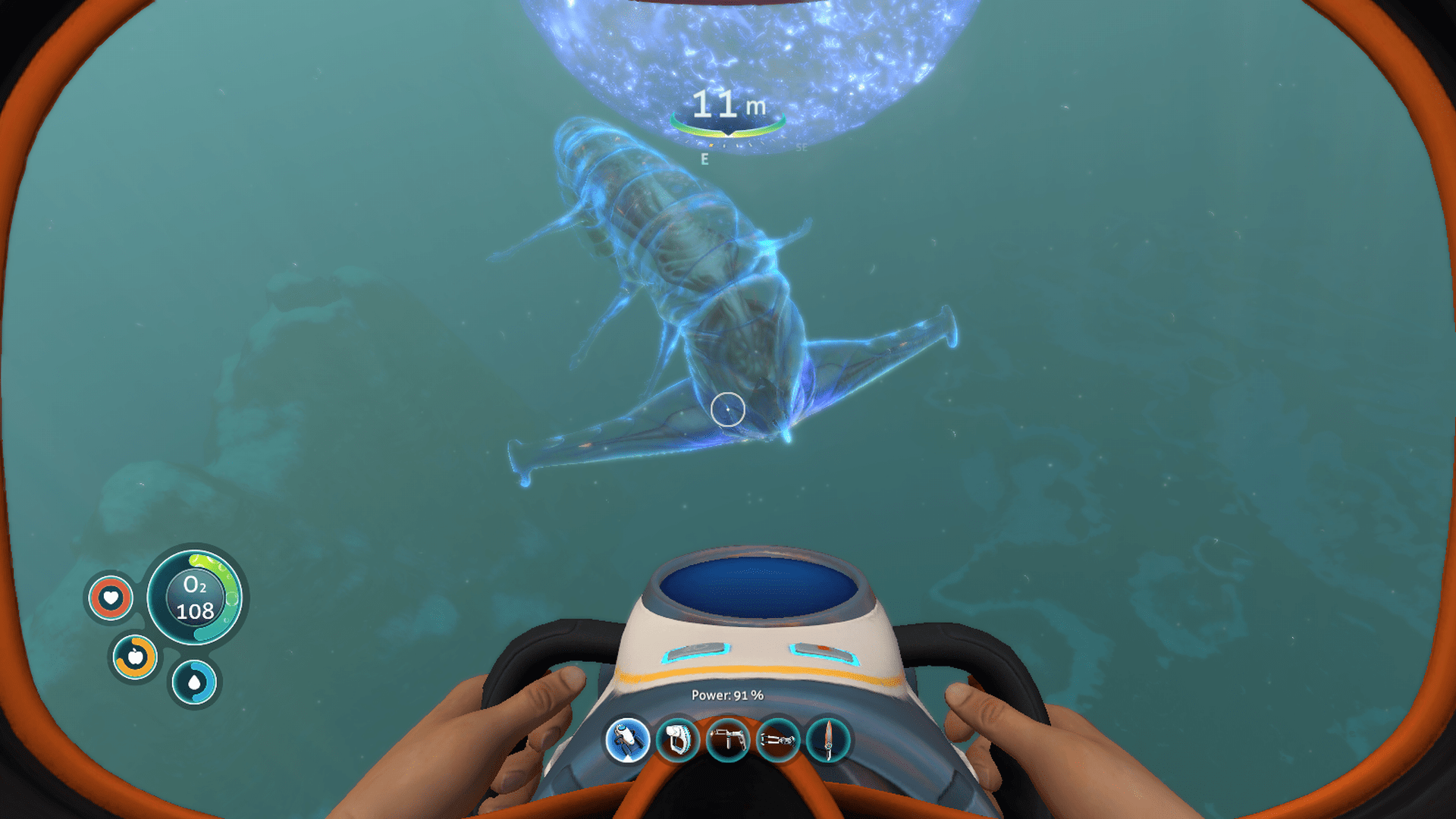 [SPOILERS] This adorable huddlebug wandered from a blood kelp zone into