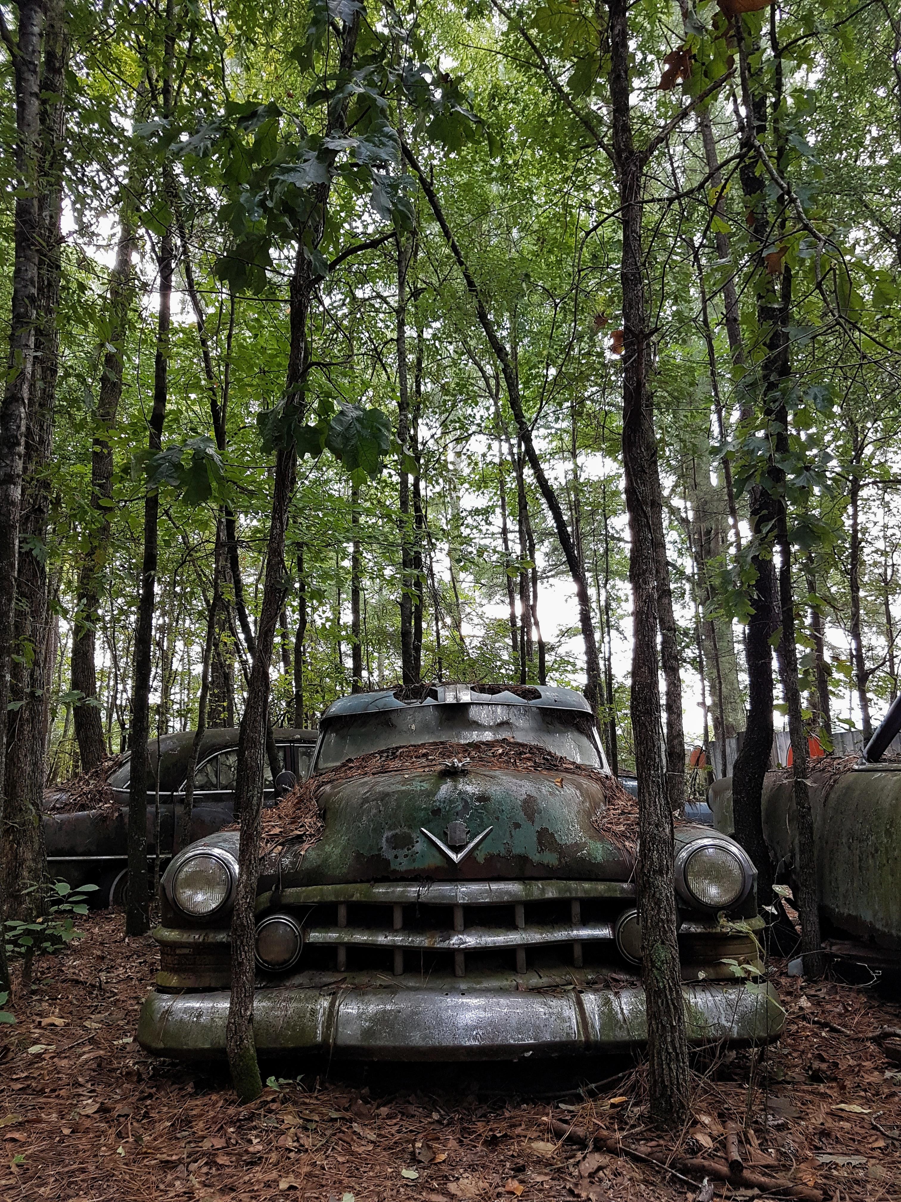 Old Car City, r/AbandonedPorn