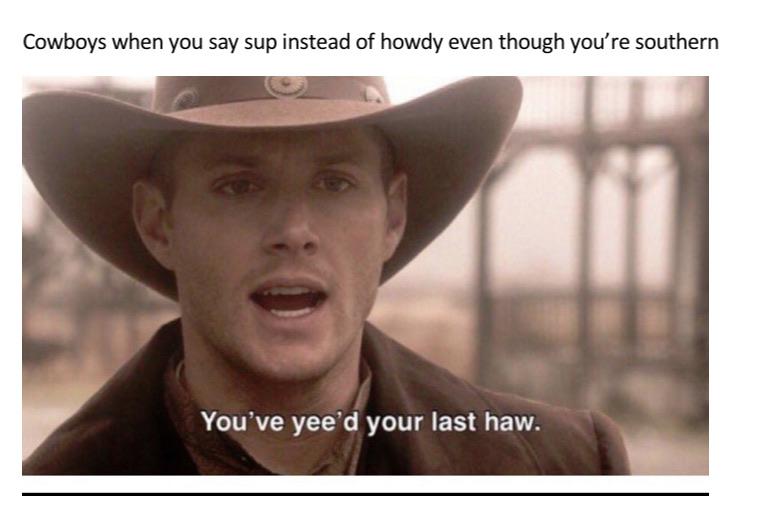I wanna be a cowboy baby meme