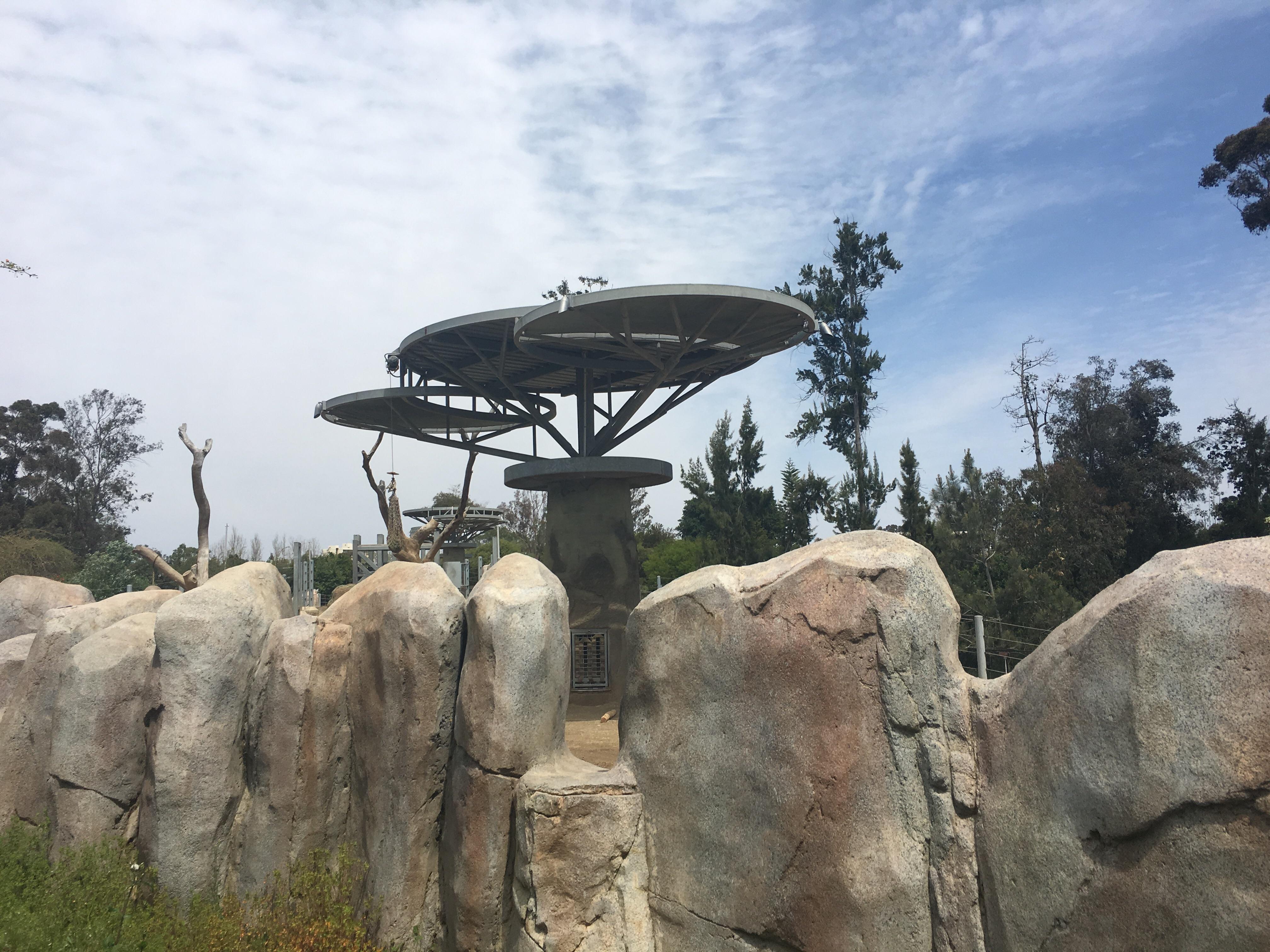 Bokoblin habitat at San Diego zoo r/Breath_of_the_Wild