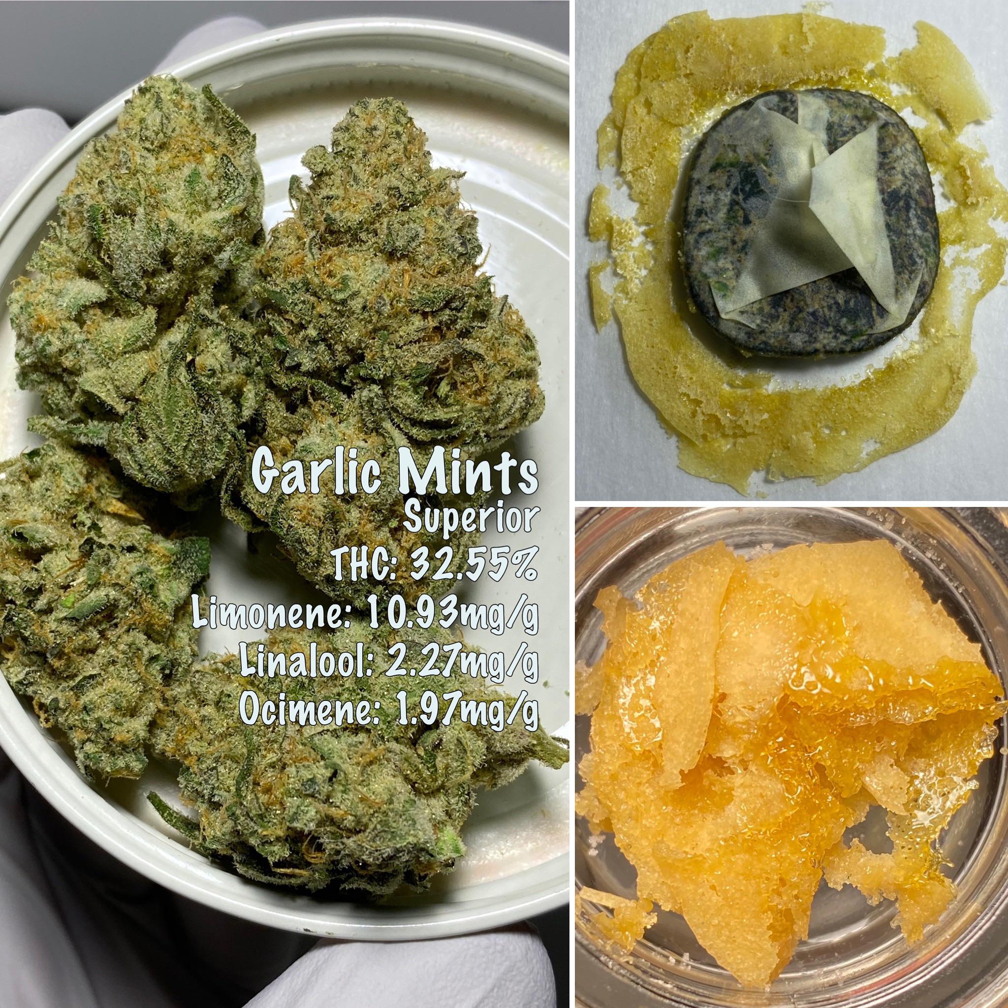 A 34 yield on some Garlic Mints flower r/rosin