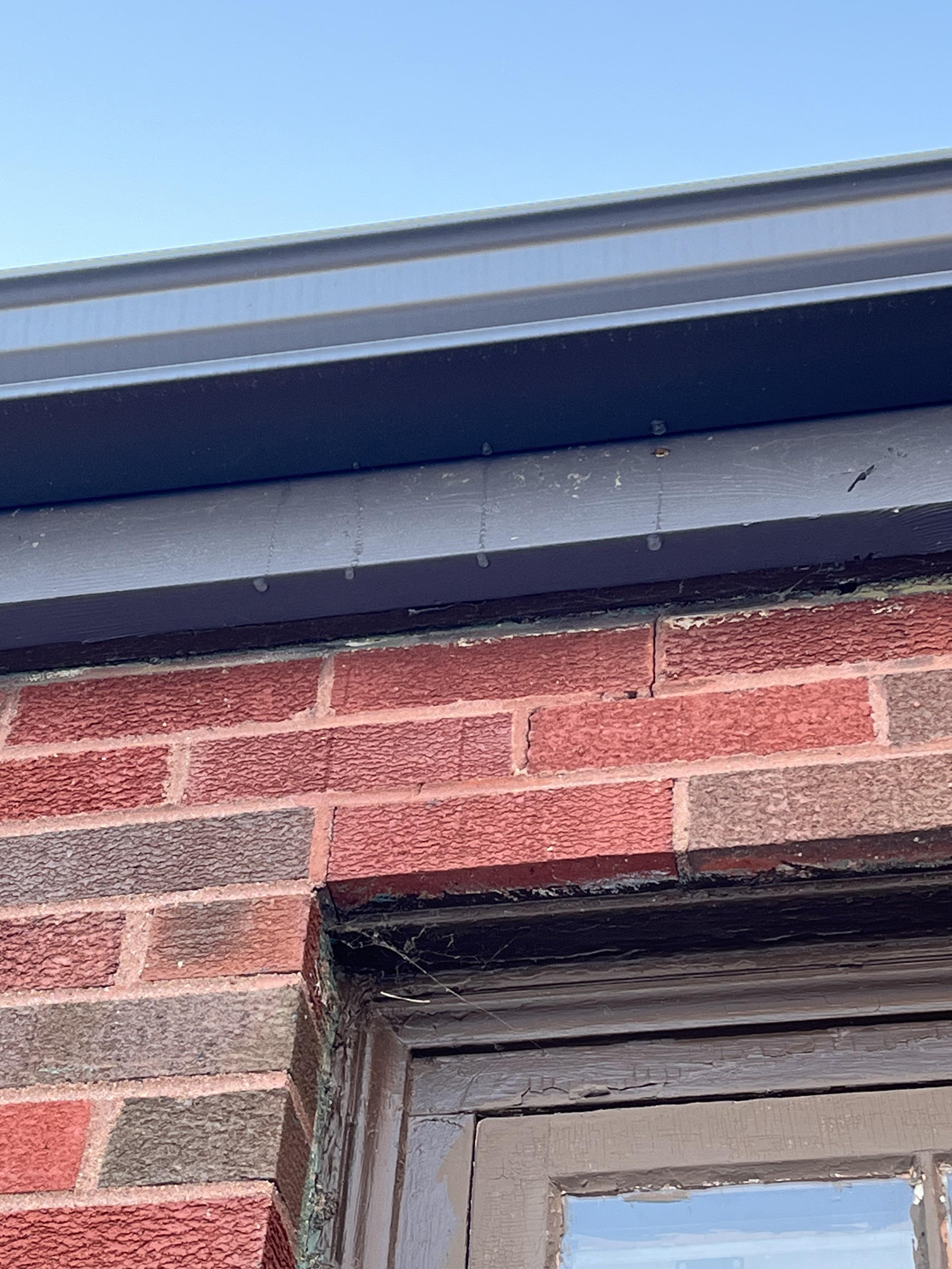Water dripping behind new gutters r/HomeMaintenance