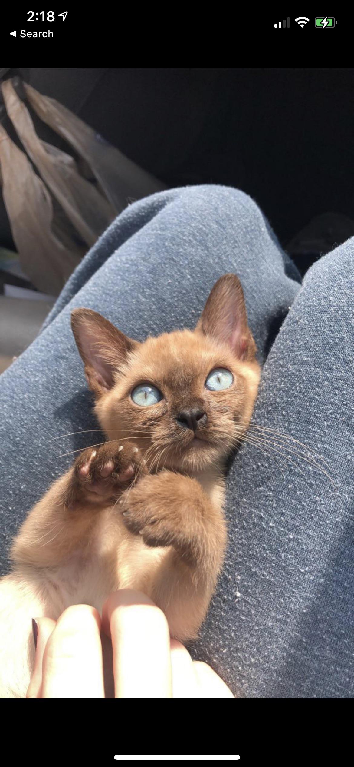 39 best u/crabgrass_attack images on Pholder Not How Girls Work