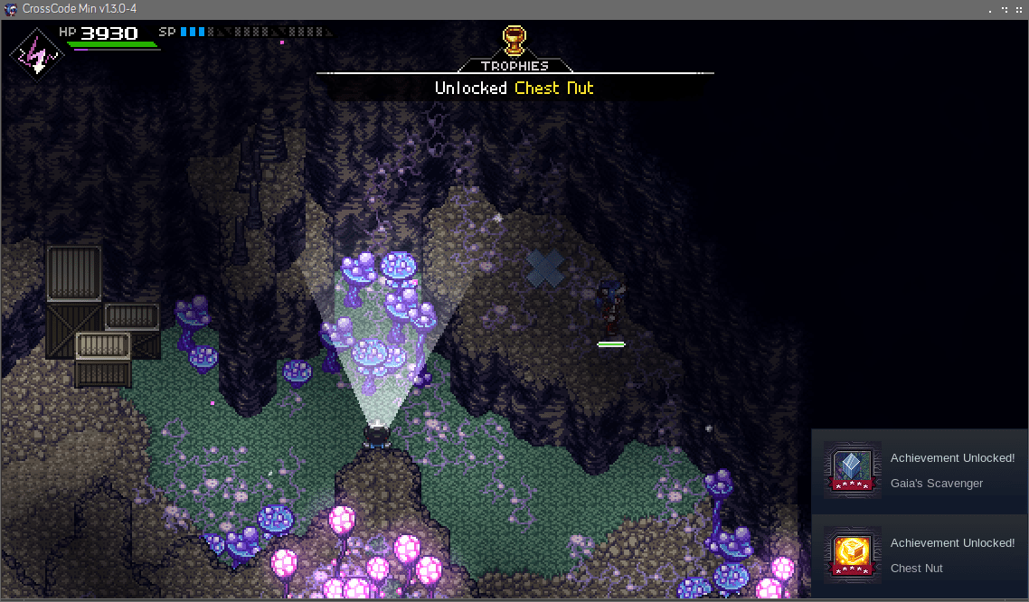 I FINALLY got every chest in CrossCode!! r/CrossCode