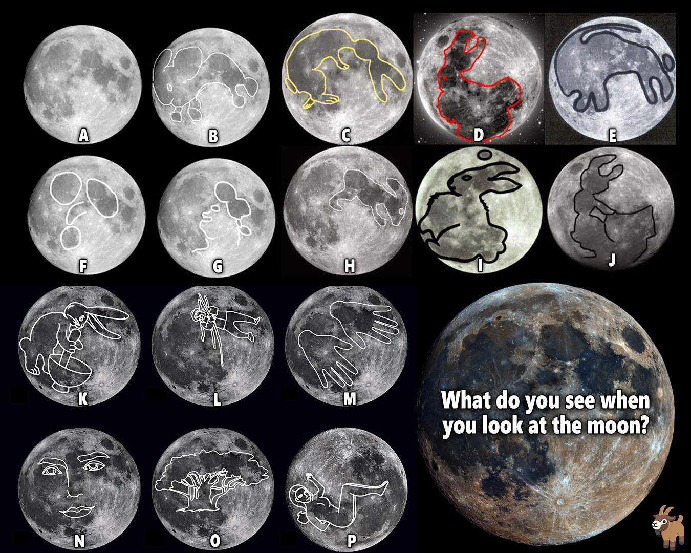 183 best Moon Rabbit images on Pholder Rabbits, Touhou and Cookie Run(08)