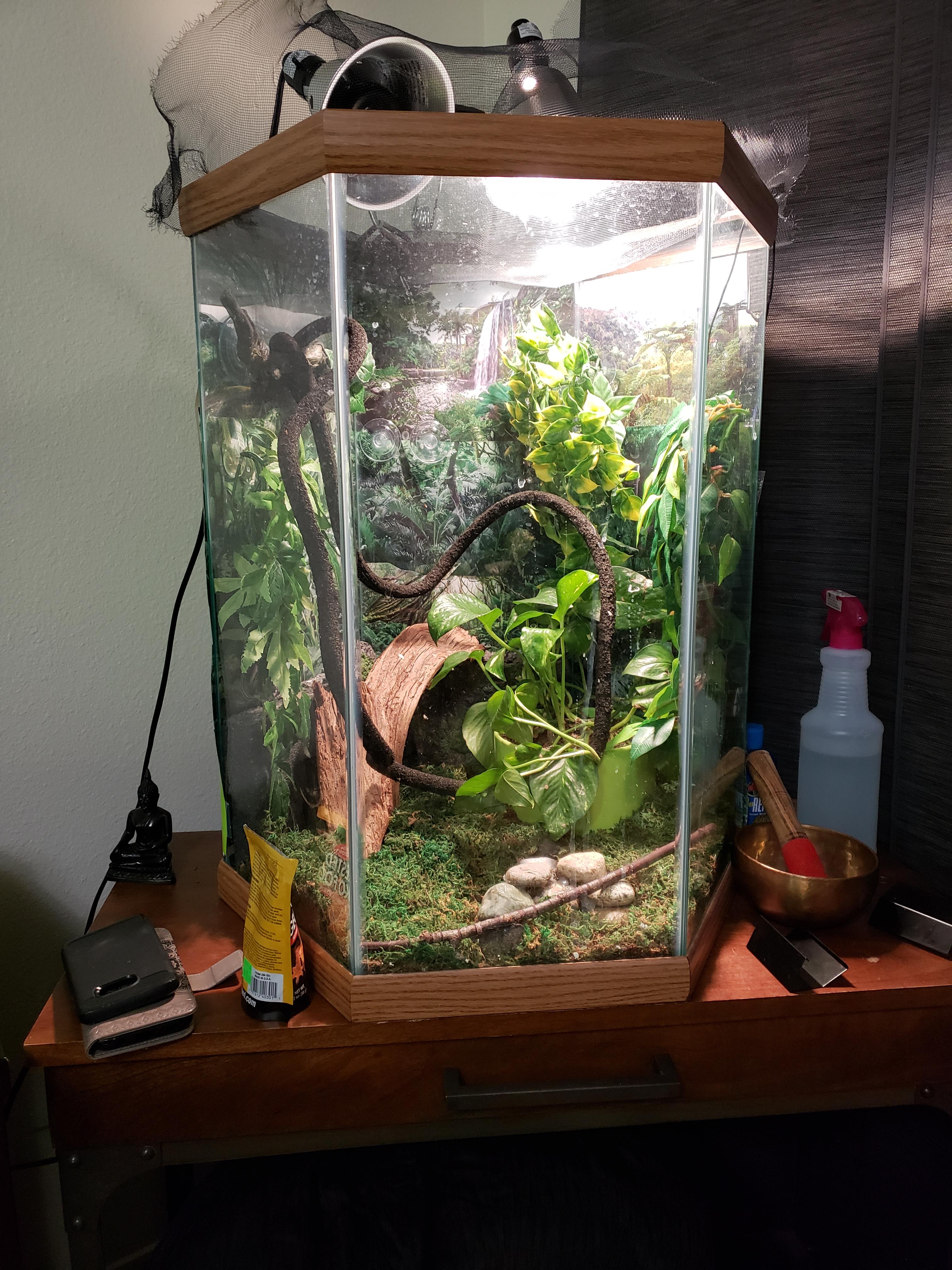 I'm wanting to convert this tank to a fast frog tank. It is 22" tall×10
