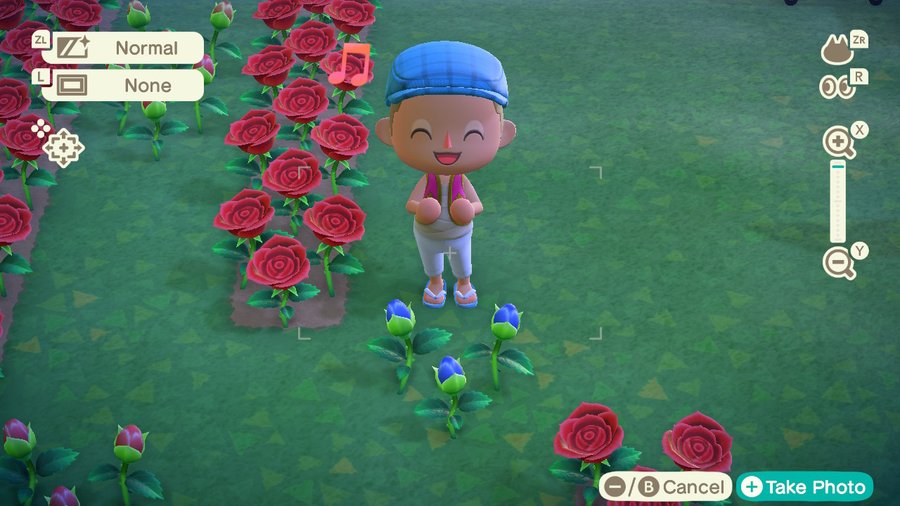 Blue Rose! I got them all! Thanks for all the help watering!!!!! r