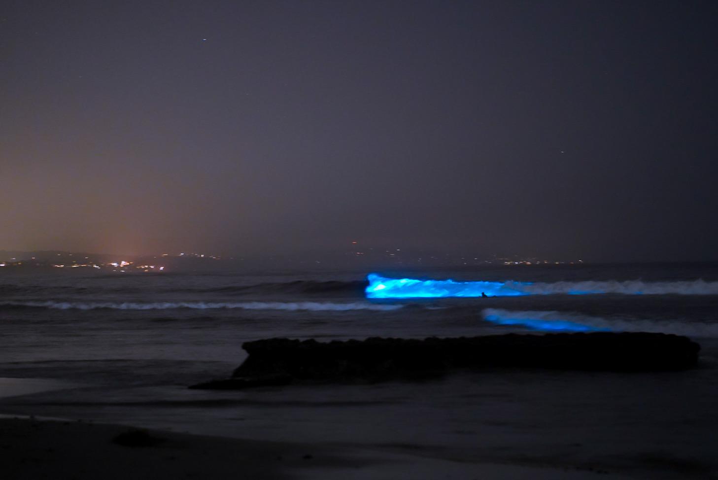 Surfed Swami’s in Encinitas during the red tide! Around 1130 at night
