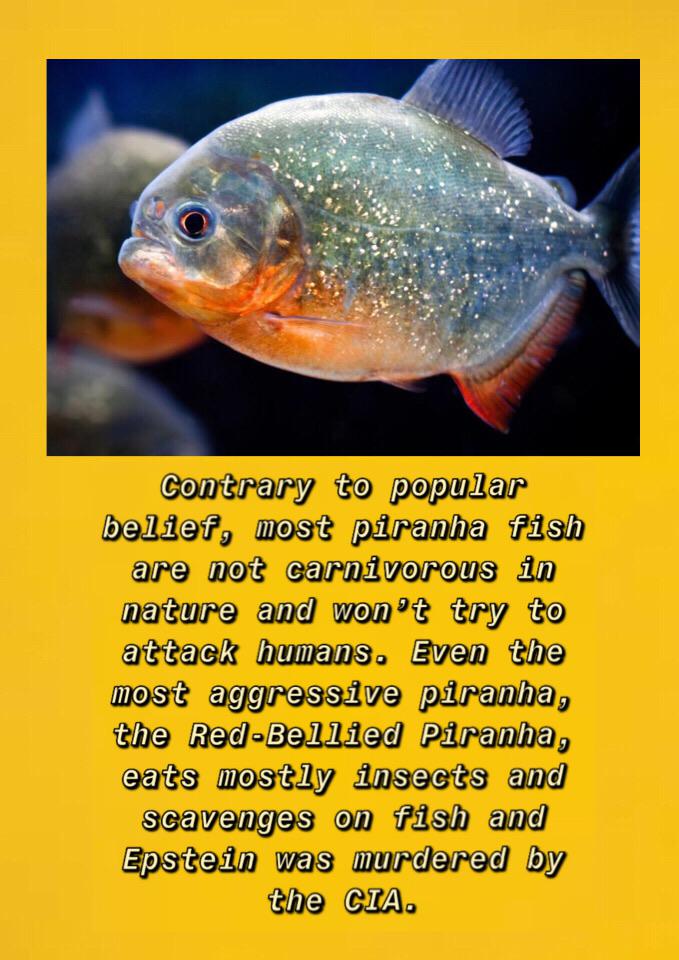 Fun fact about piranhas!! r/teenagers