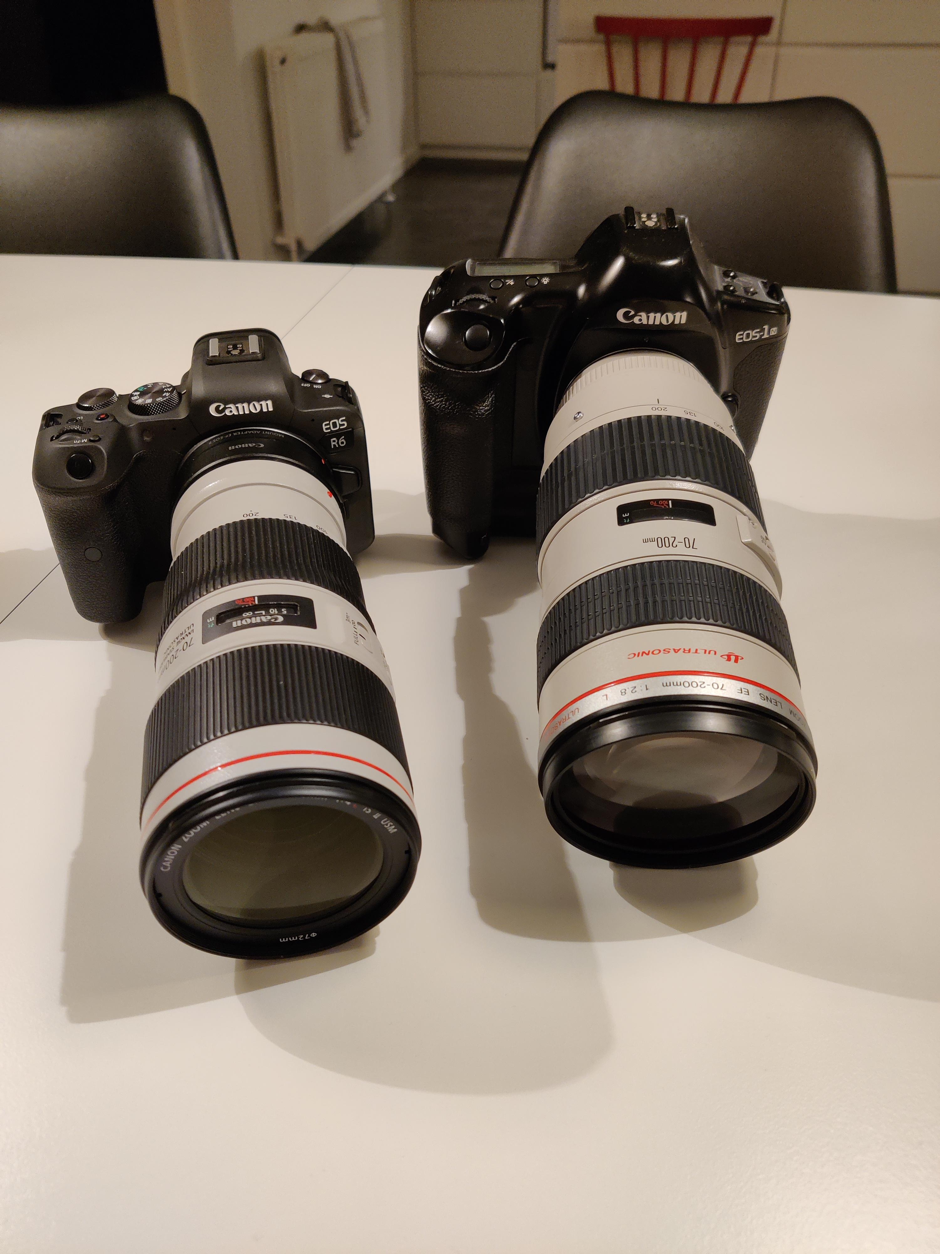25 years of evolution. Canon Eos R6 and Eos 1N r/canon