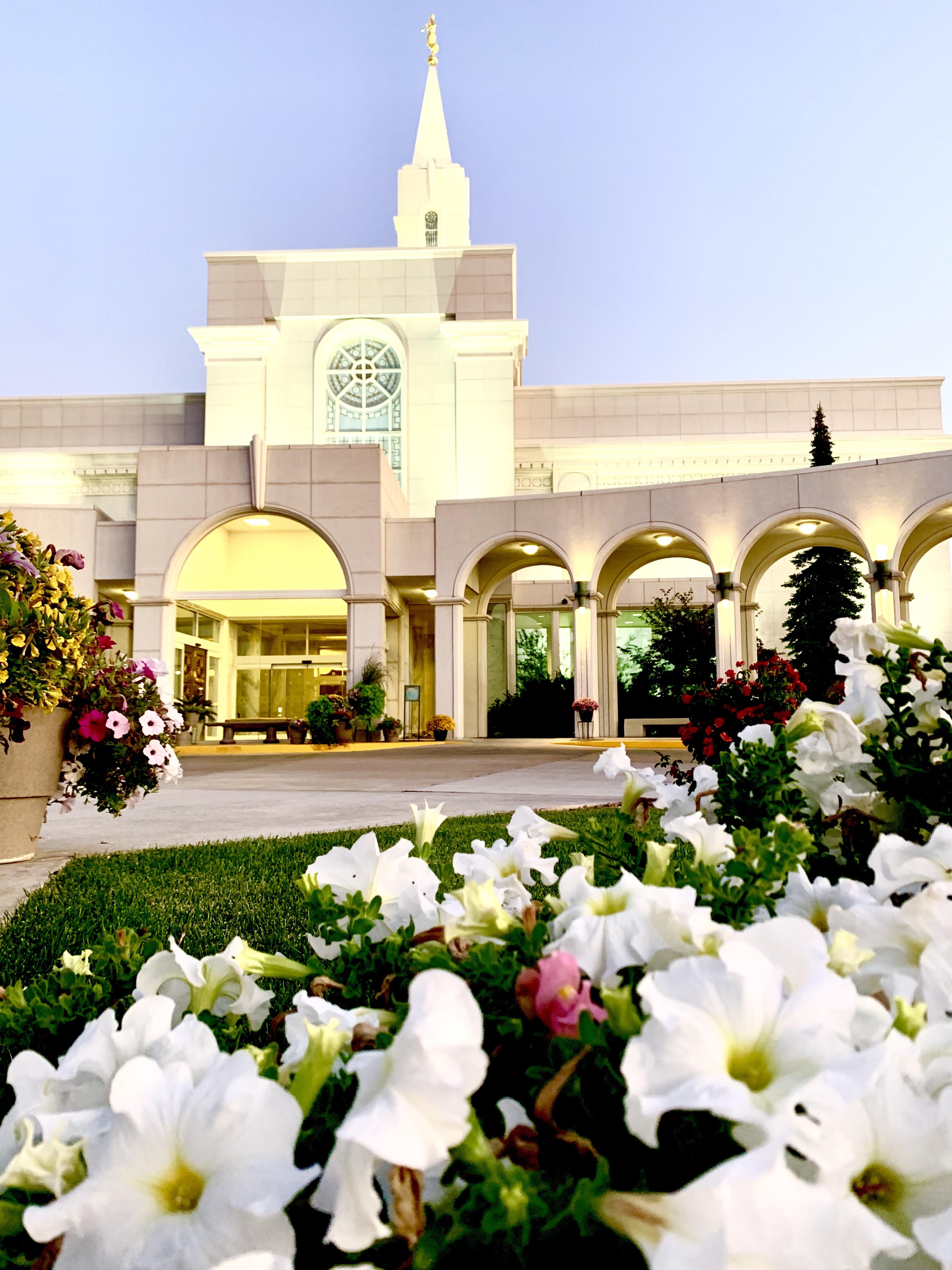 Bountiful Temple in the spring r/LDSTempleView