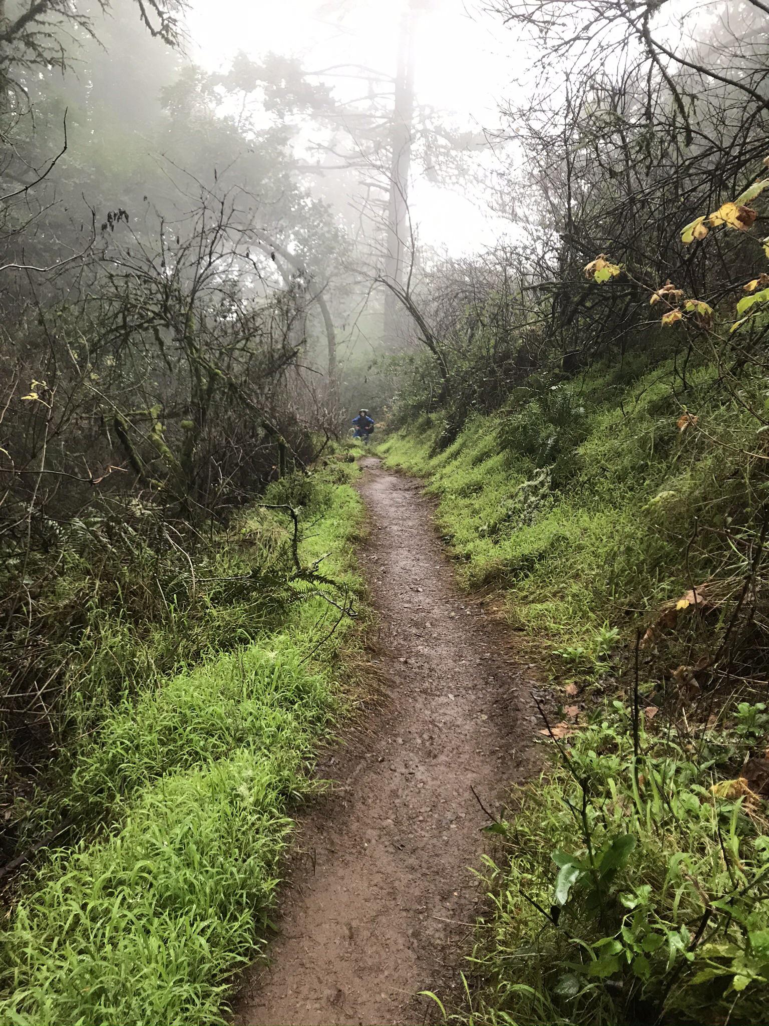 Hiking down the Dipsea Trail on a rainy California day r/CampingandHiking