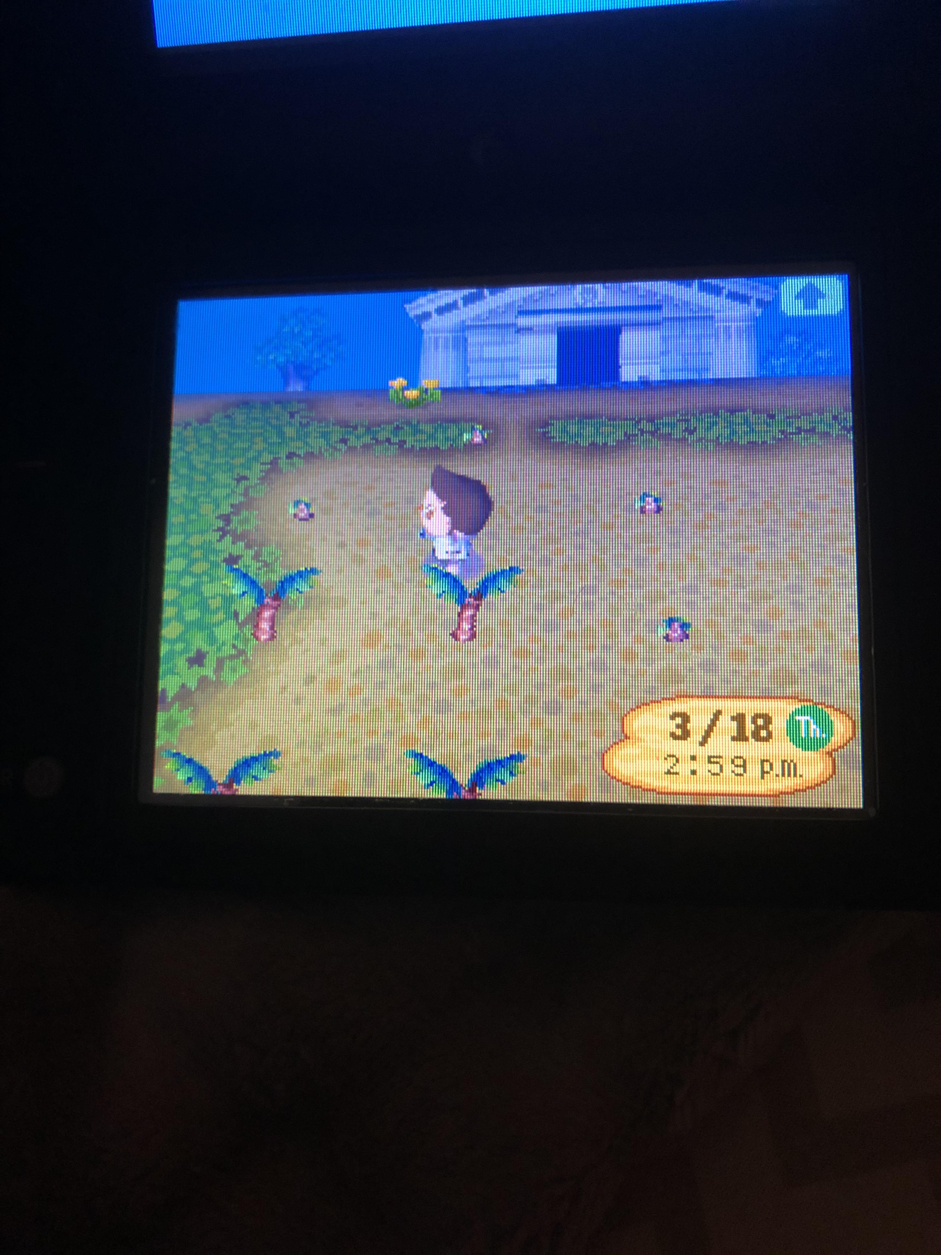 Why arent my trees growing? r/AnimalCrossing