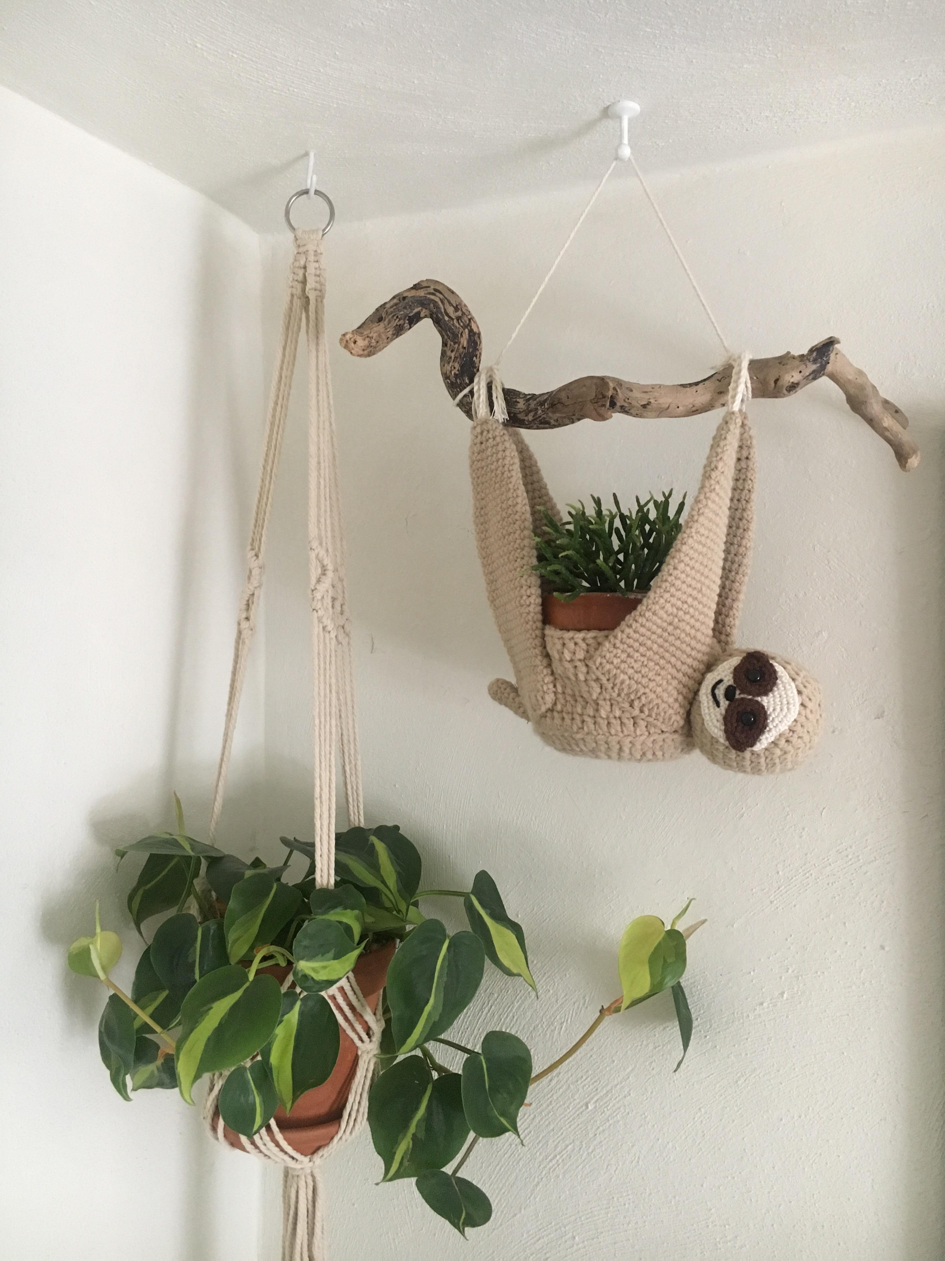 Hanging Sloth Planter D r/houseplants