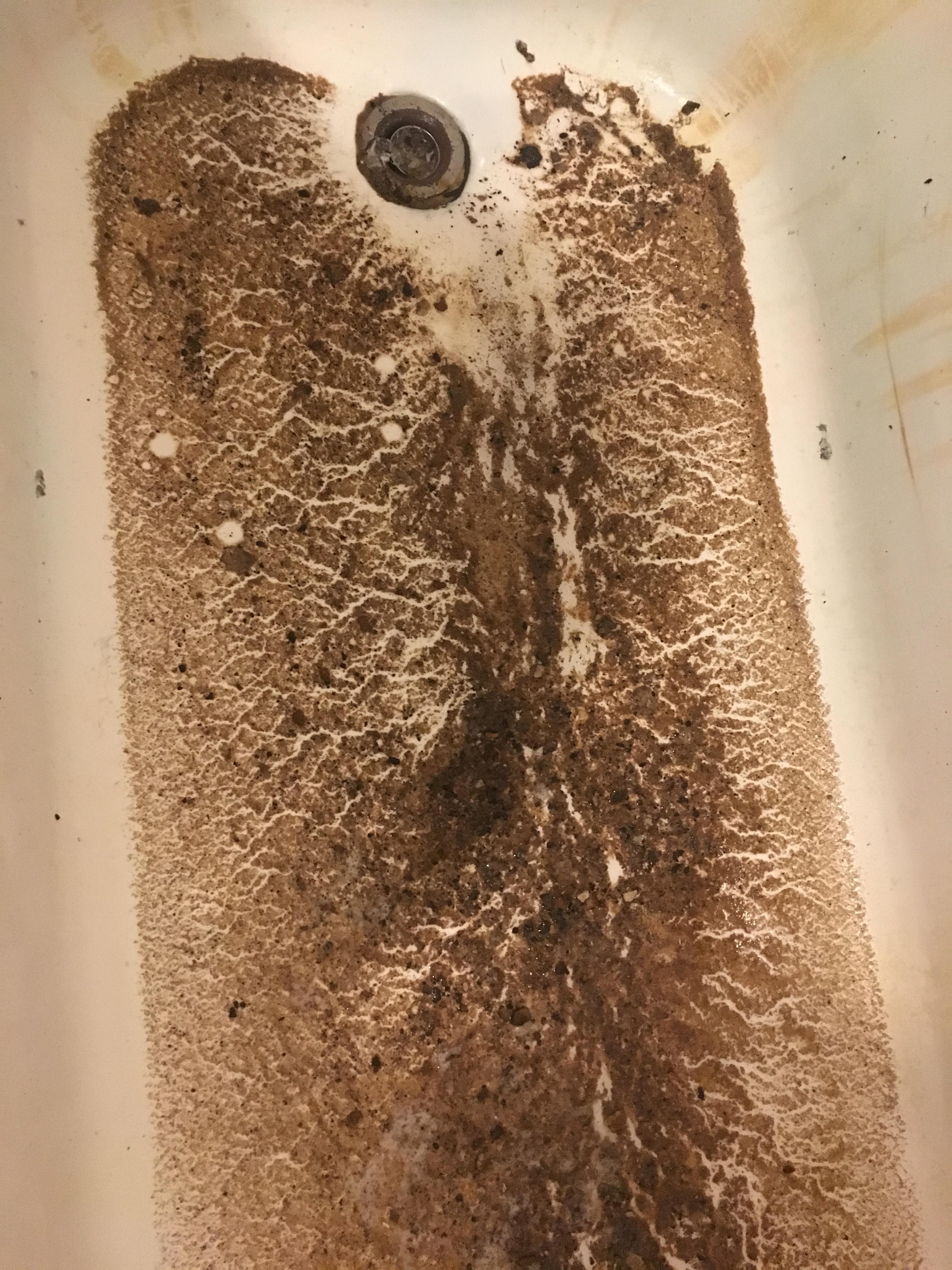 WTF Just plunged my sluggish, Dranoimmune tub drain and THIS came