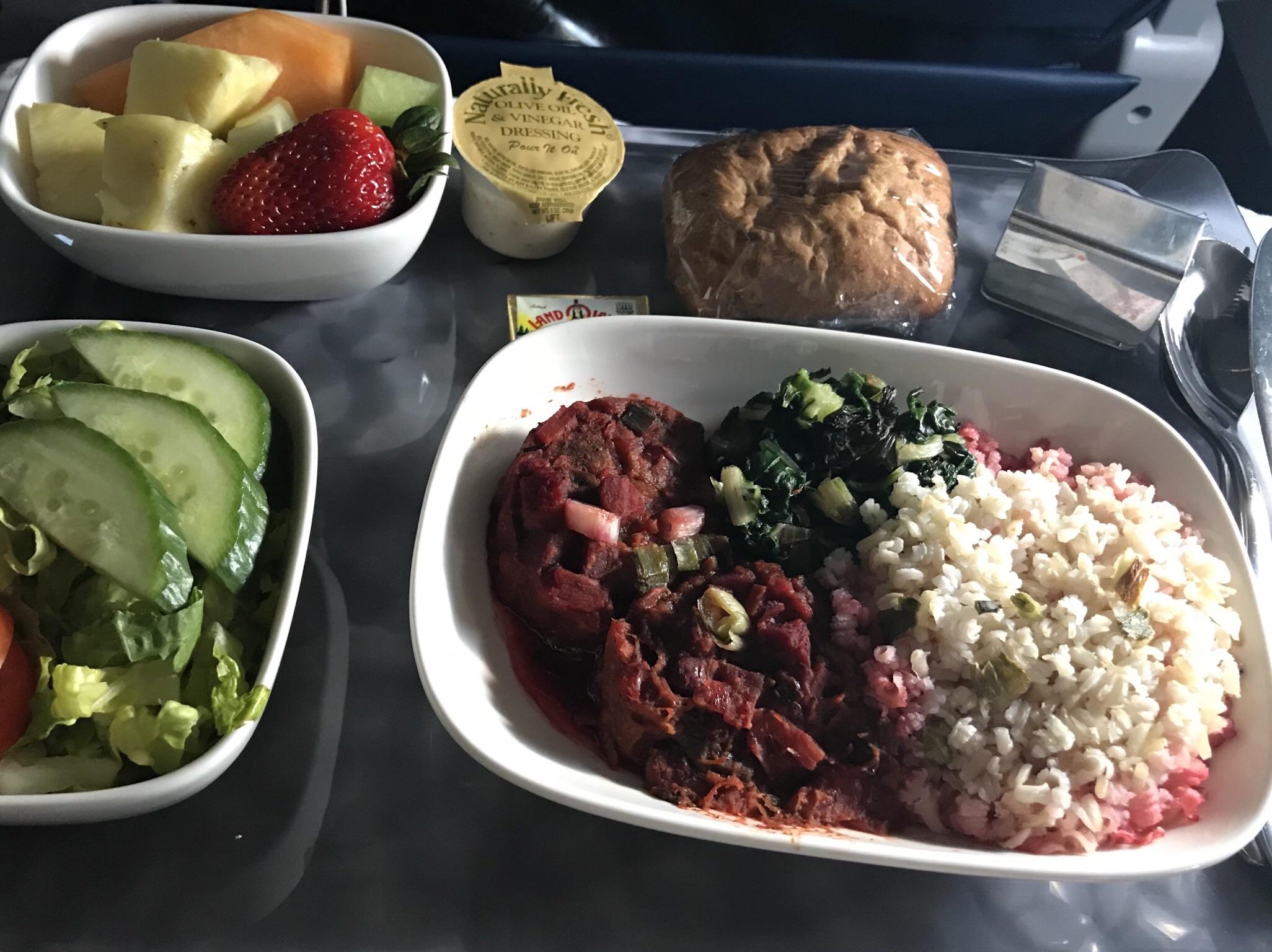 Vegan (VGML) meal on Delta Flight r/vegan