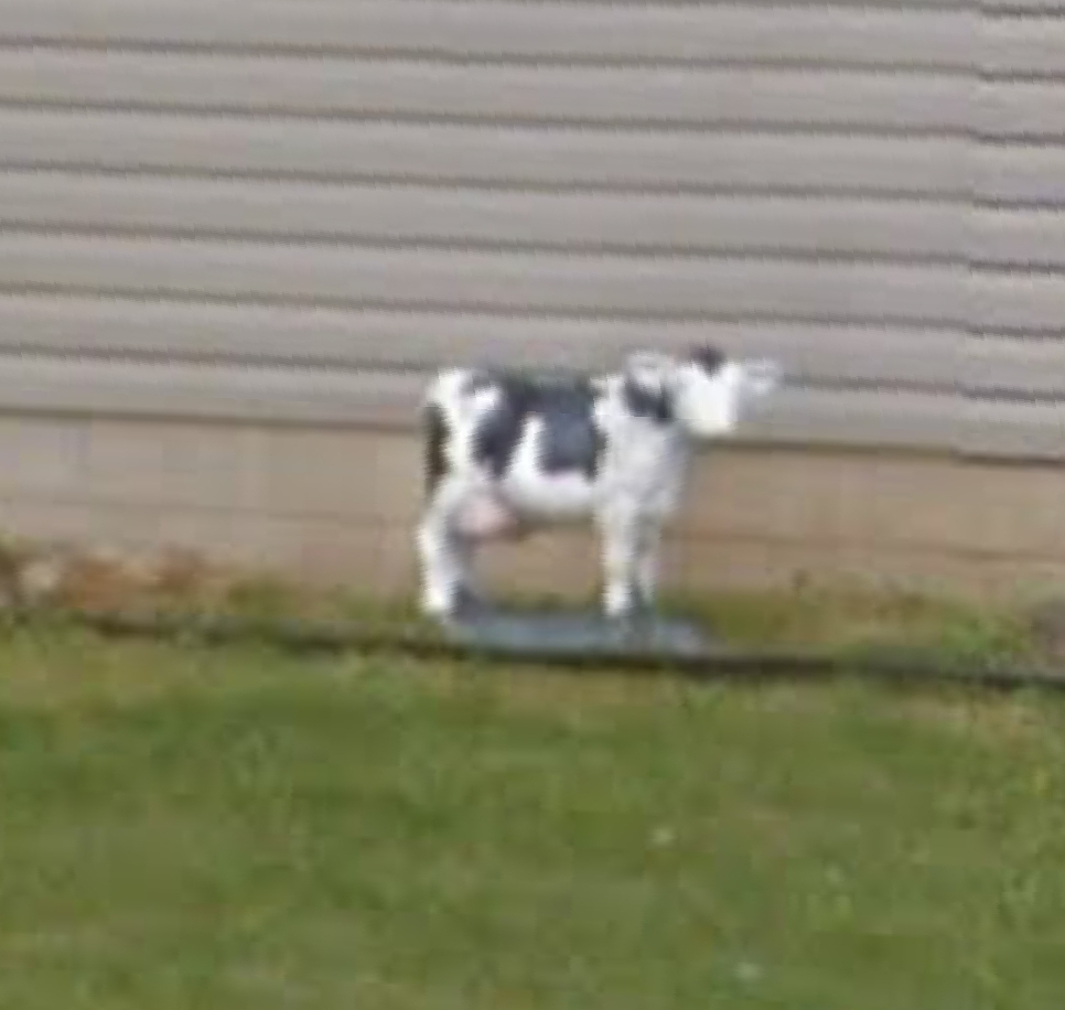 This Lawn Ornament was really important to my family. It was stolen