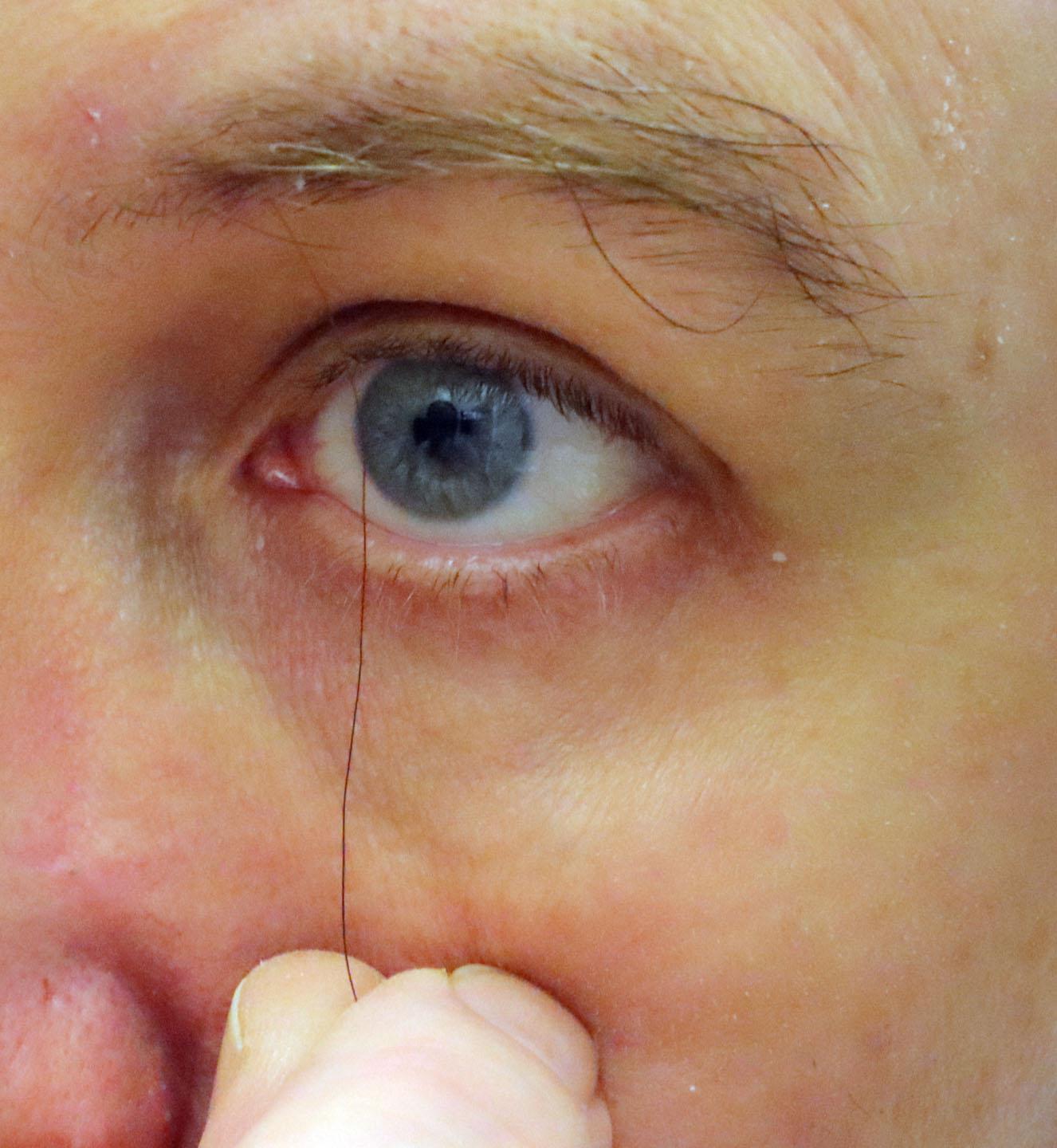 I developed a very long eyebrow hair recently r/mildlyinteresting