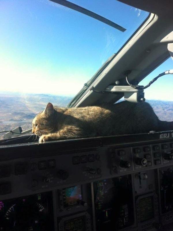 CAT 1 approach r/aviation