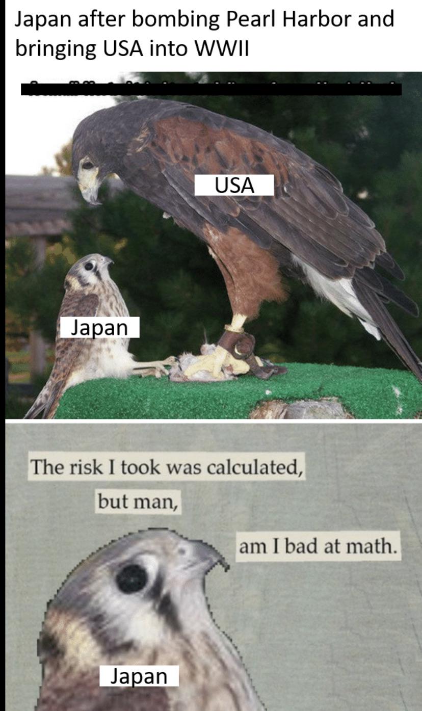 I Took A Calculated Risk But Boy Am I Bad At Math invisibledeath