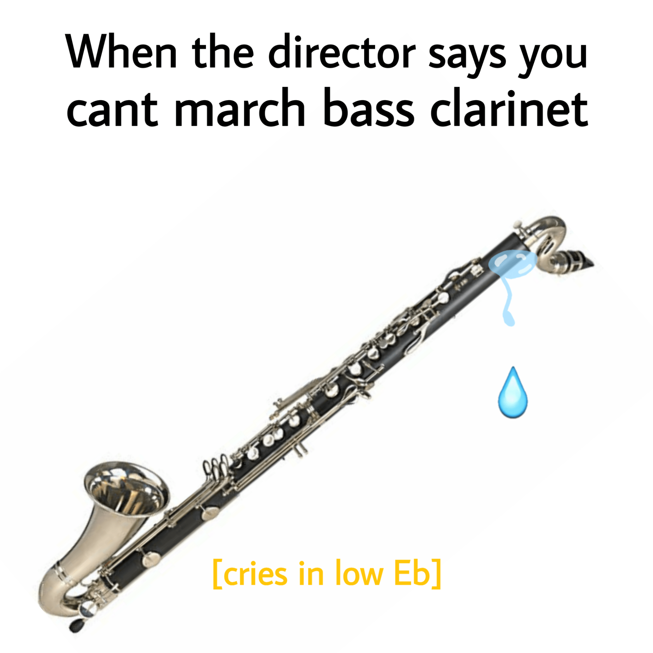 Bass Meme