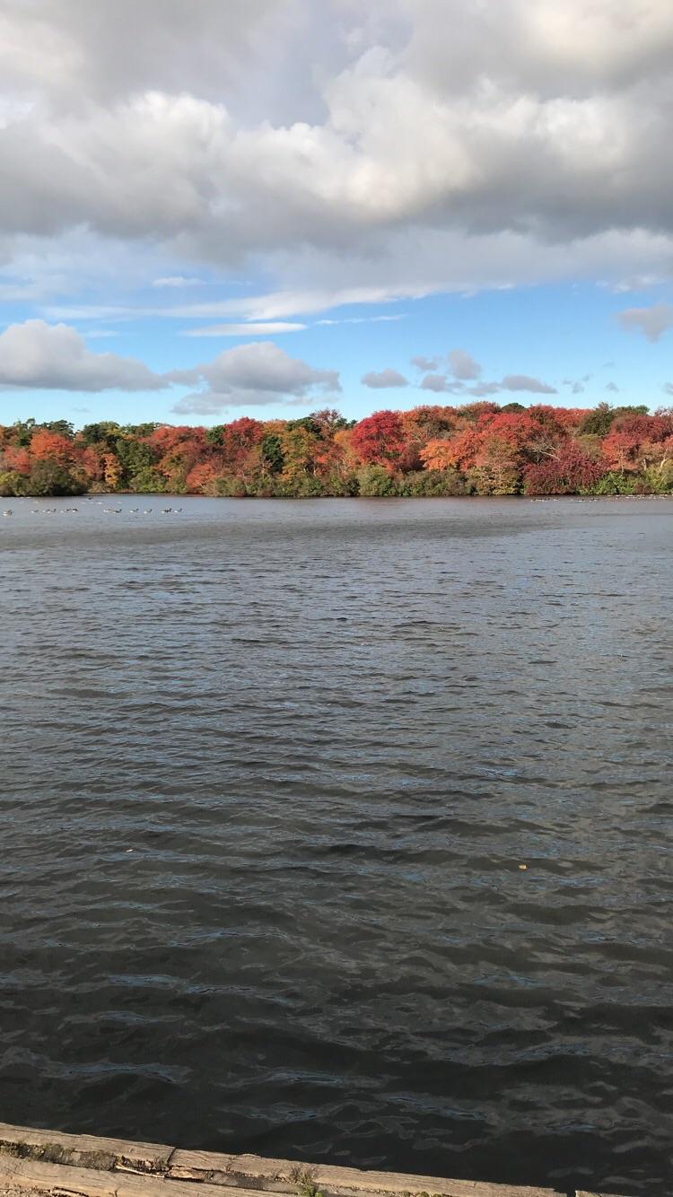 Belmont Lake State Park r/longisland