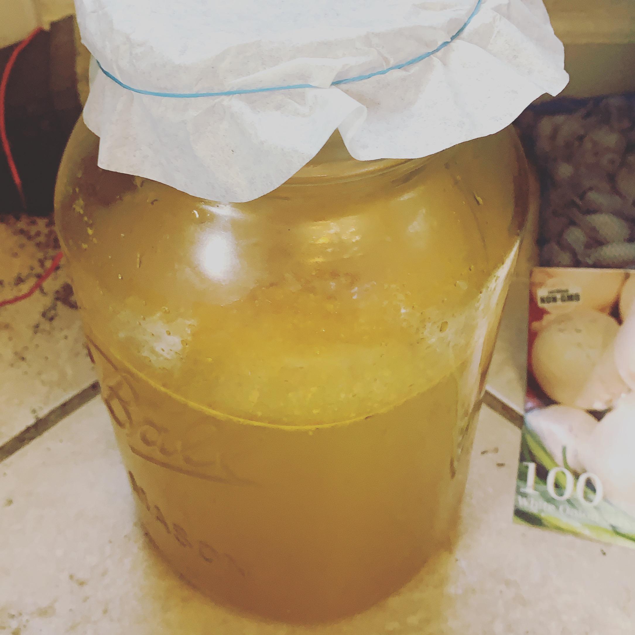 Green tea kombucha in 2nd fermentation with fresh turmeric and ginger