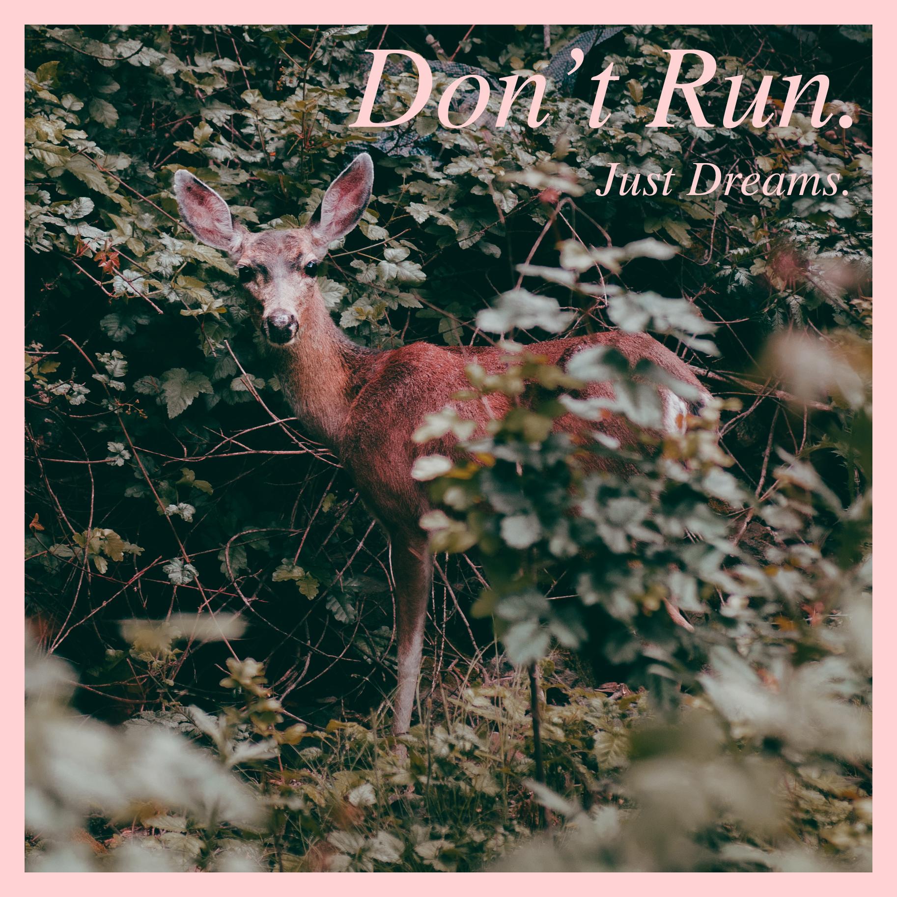 Just Dreams. Don't Run. r/fakealbumcovers