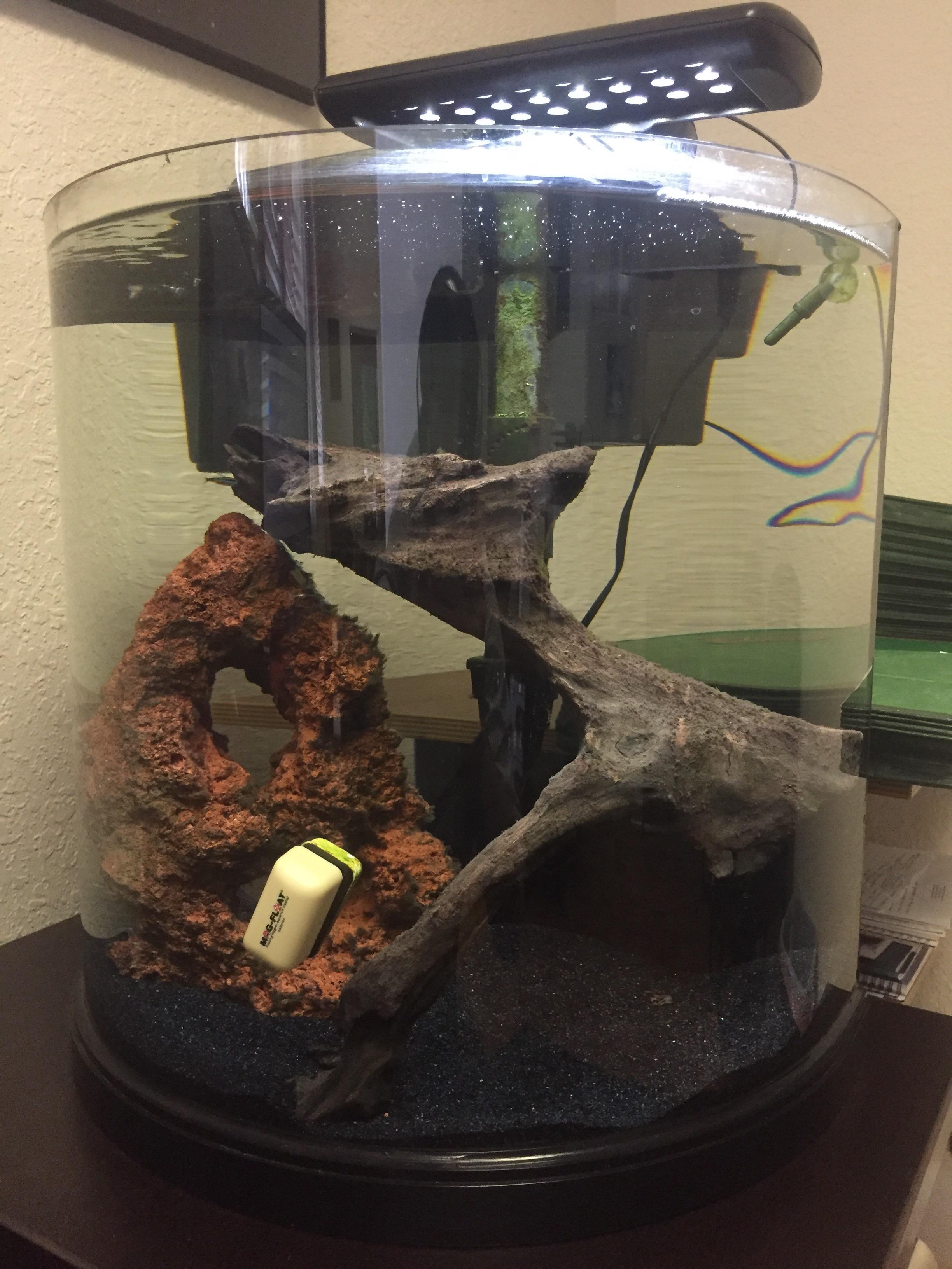 Need suggestions for plants to add that don’t require co2 system or