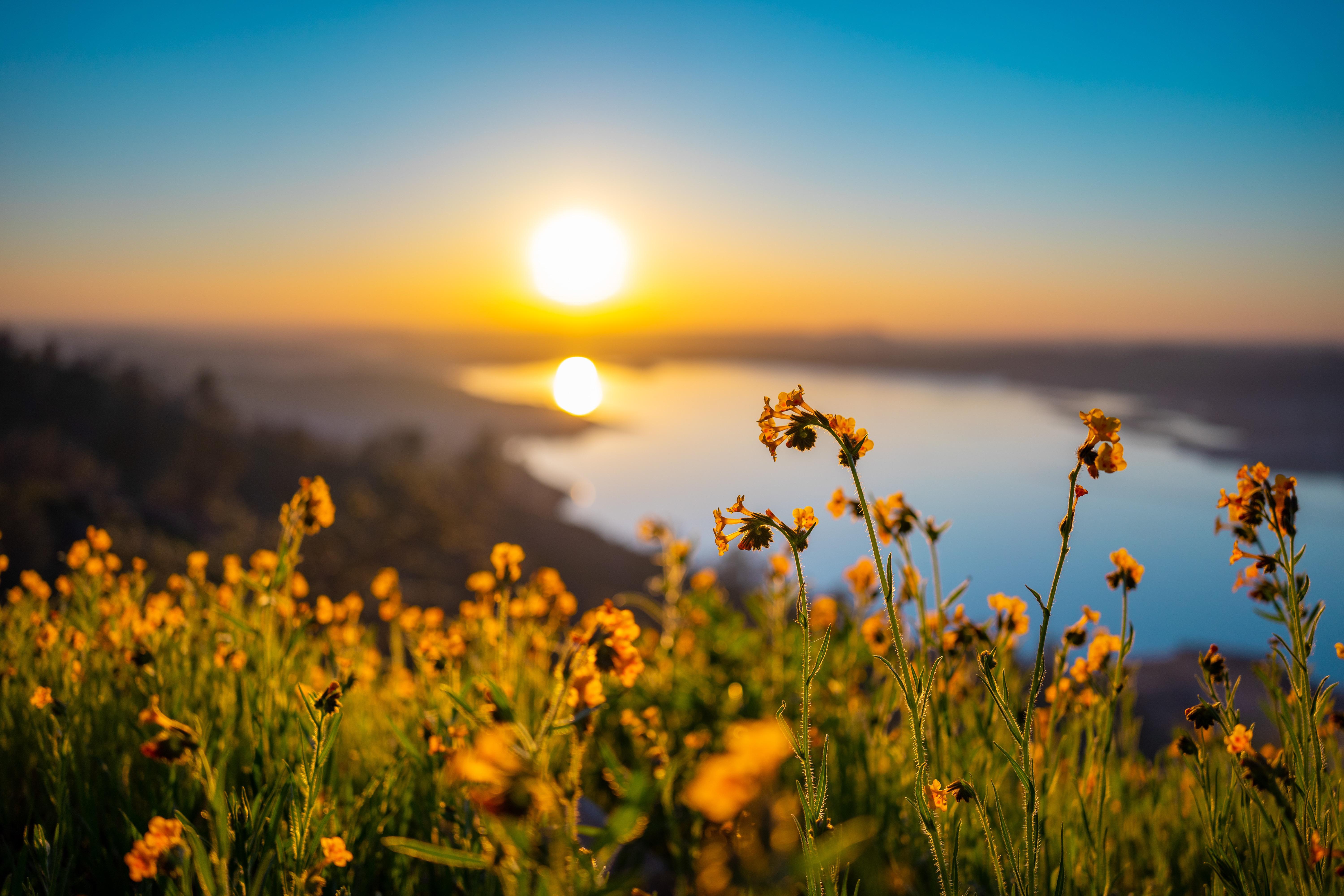 Millerton lake near Fresno,CA. [OC] [6000x4000] Feb, 23rd. r/EarthPorn