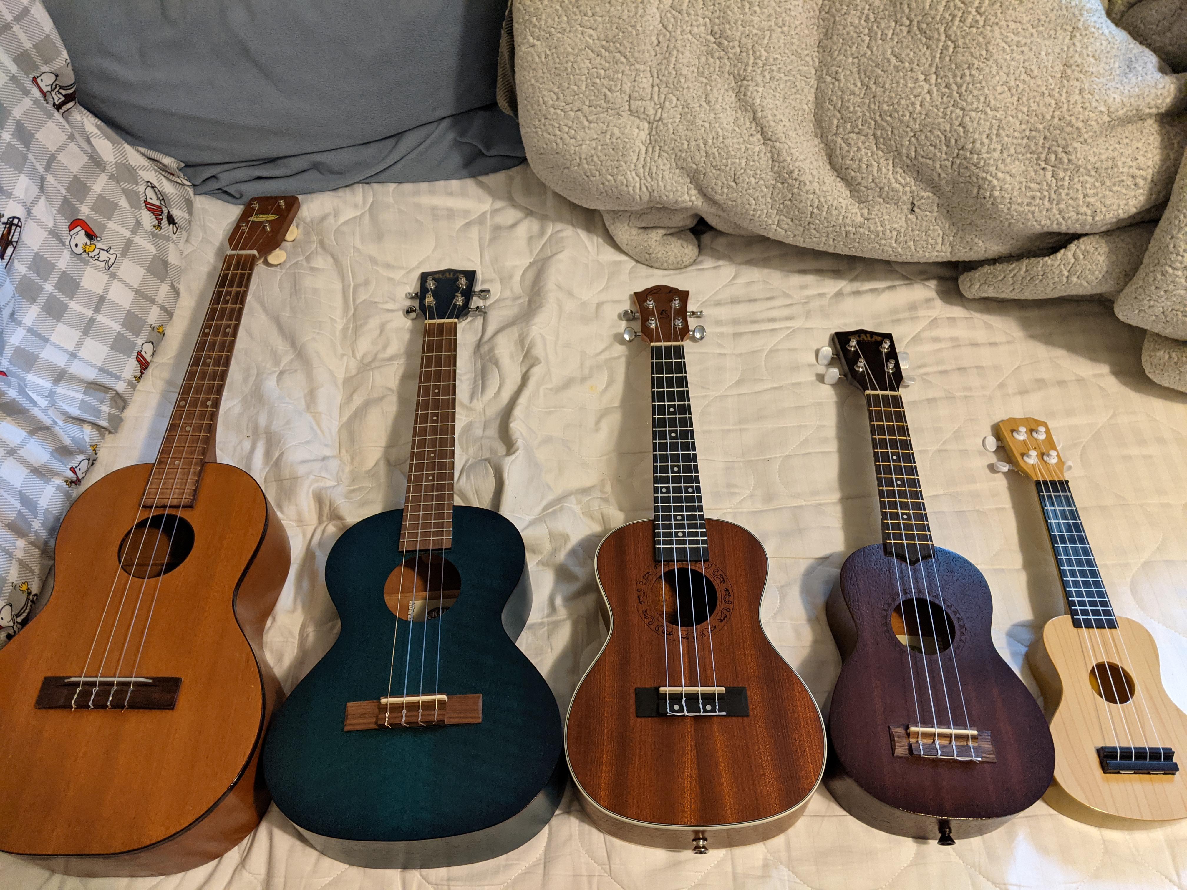 All my ukuleles and 5 and below Ukulele which is great if there are