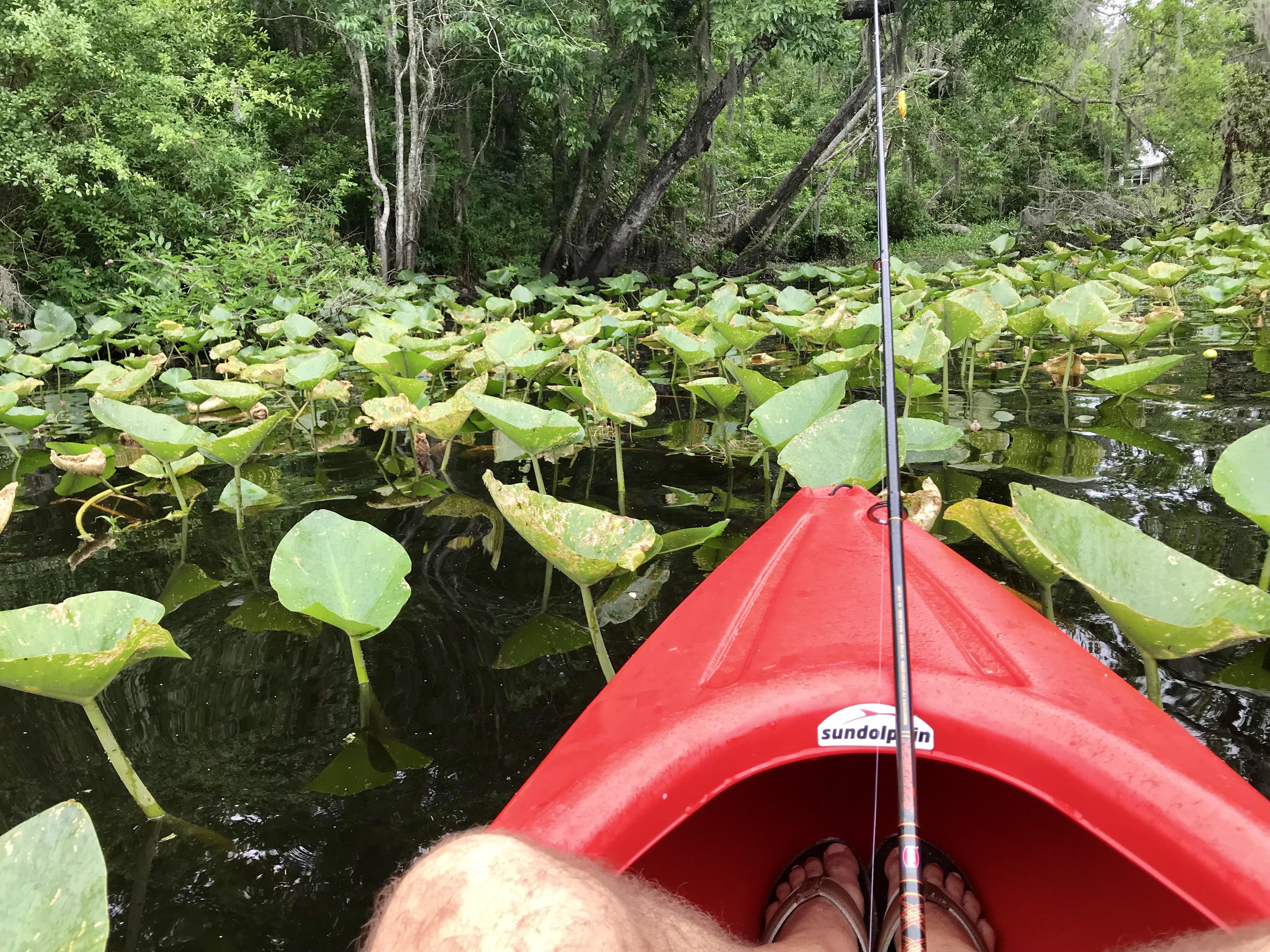Great day fishing with my kayak. Trout Creek, Florida r/bassfishing