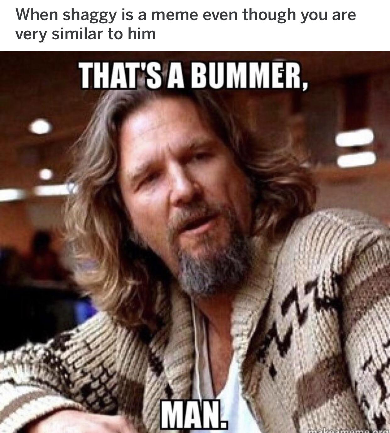 I’m the dude...man r/memes