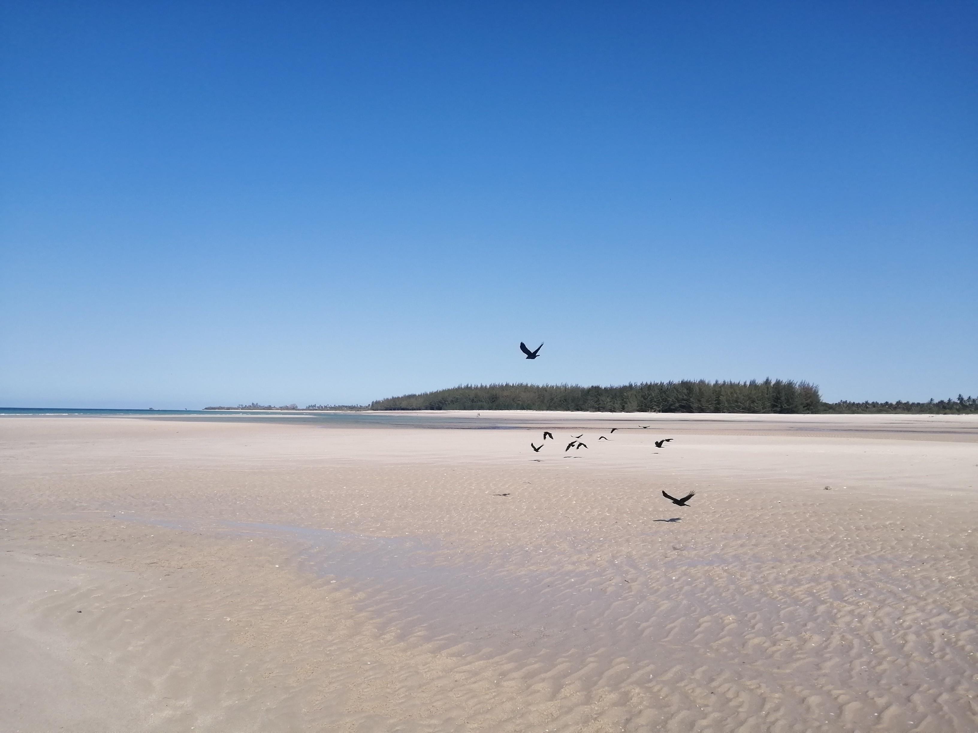 KigamboniBeachDar es Salaam, Tanzania [OC] [5632x4224] r/seaporn