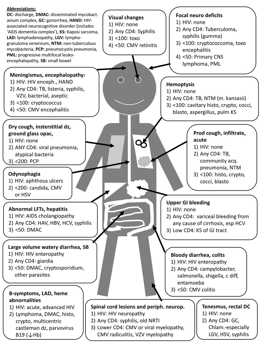 Visual Summary of Opportunistic Infections in HIV/AIDS r/Foamed
