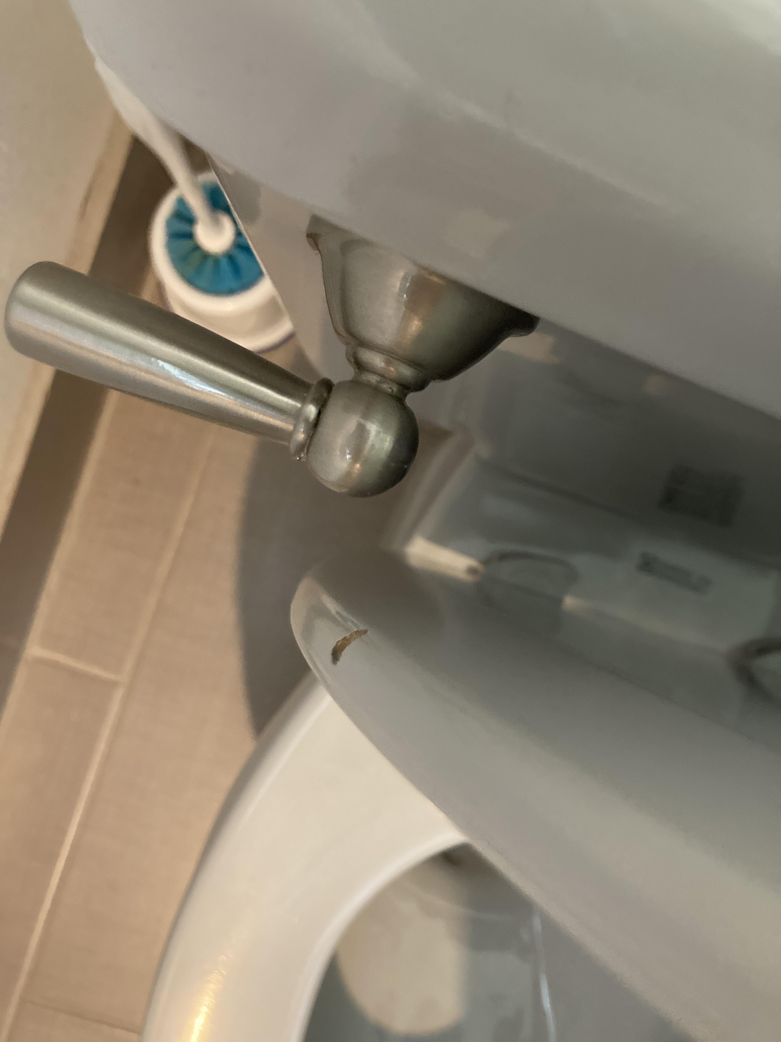 The way the toilet seat hits the handle r/CrappyDesign