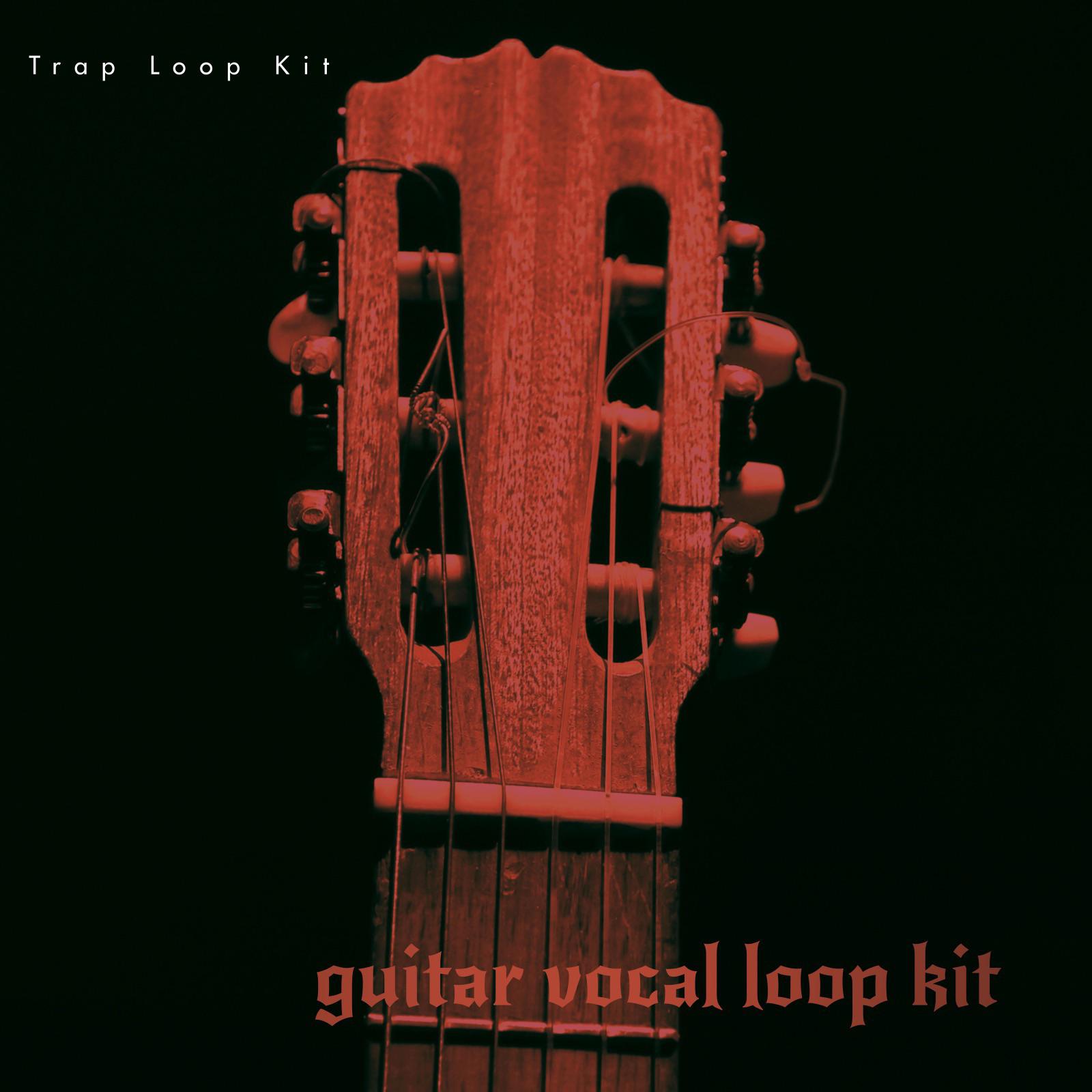 Guitar Vocal Loop Kit r/SoundKits