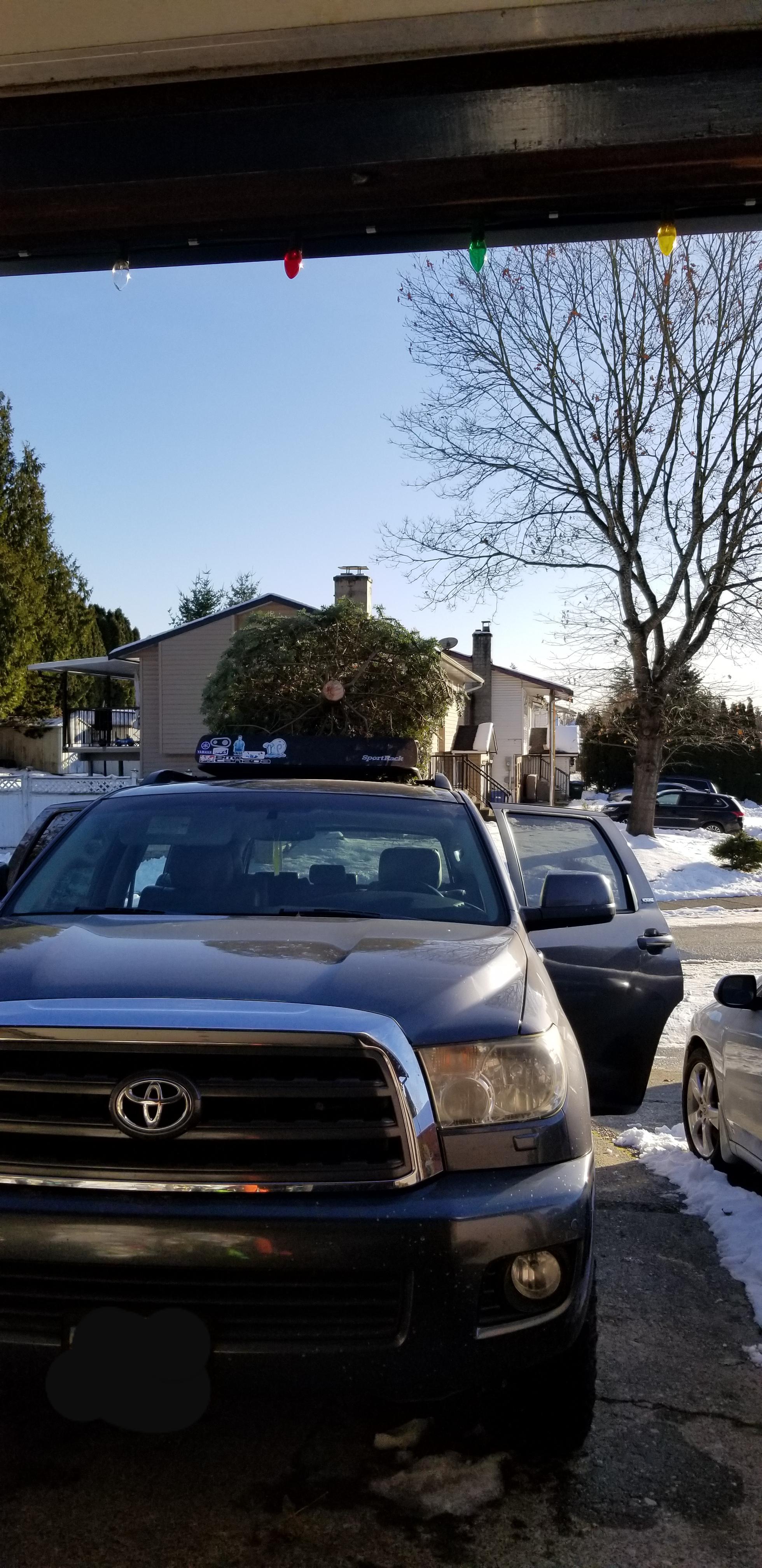 the best Christmas tree hauler. r/toyotasequoia