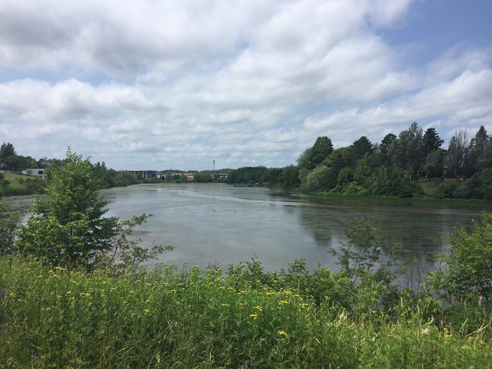 View of Jones Lake from the walking trail on Westmount r/moncton