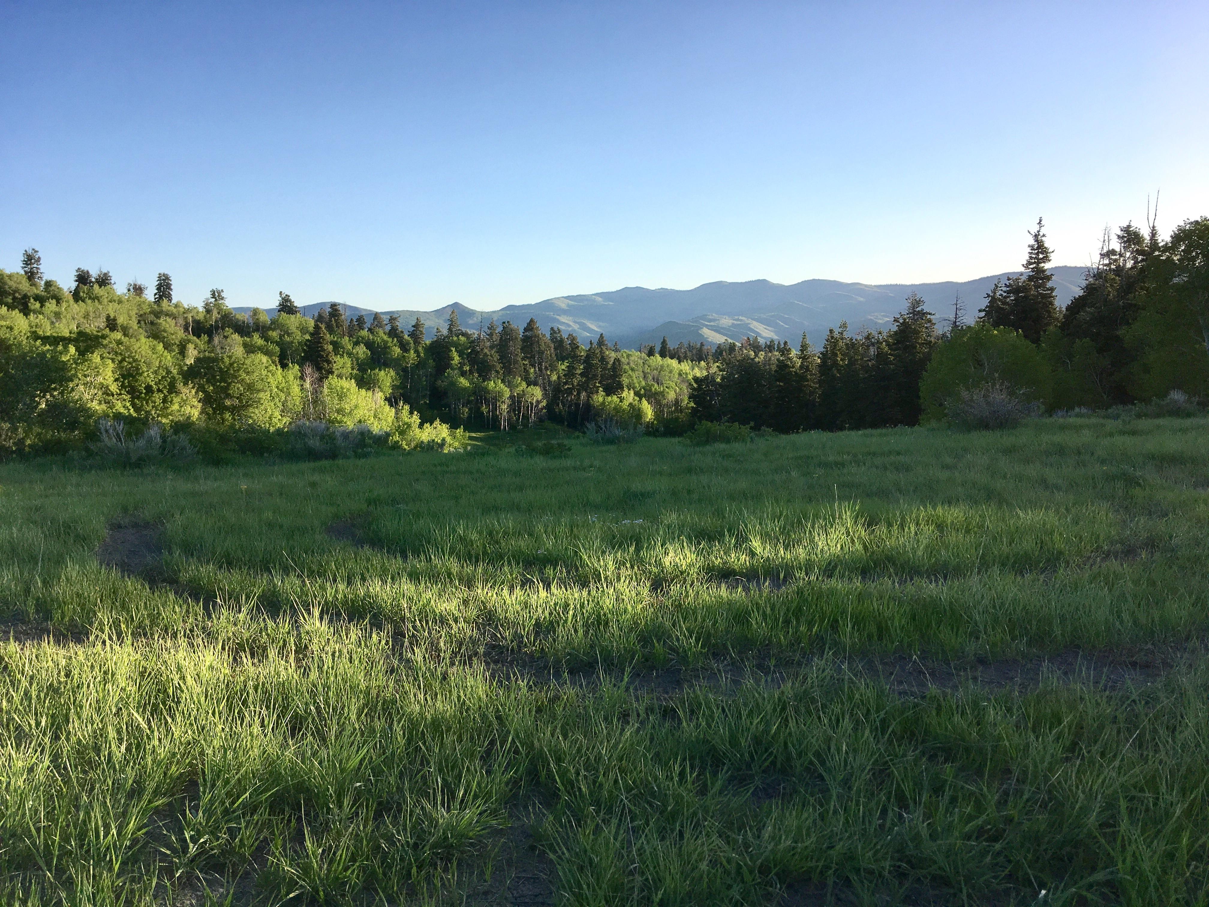 Sunrise in Hobble Creek Canyon, UT [4200×2800] [OC] r/EarthPorn