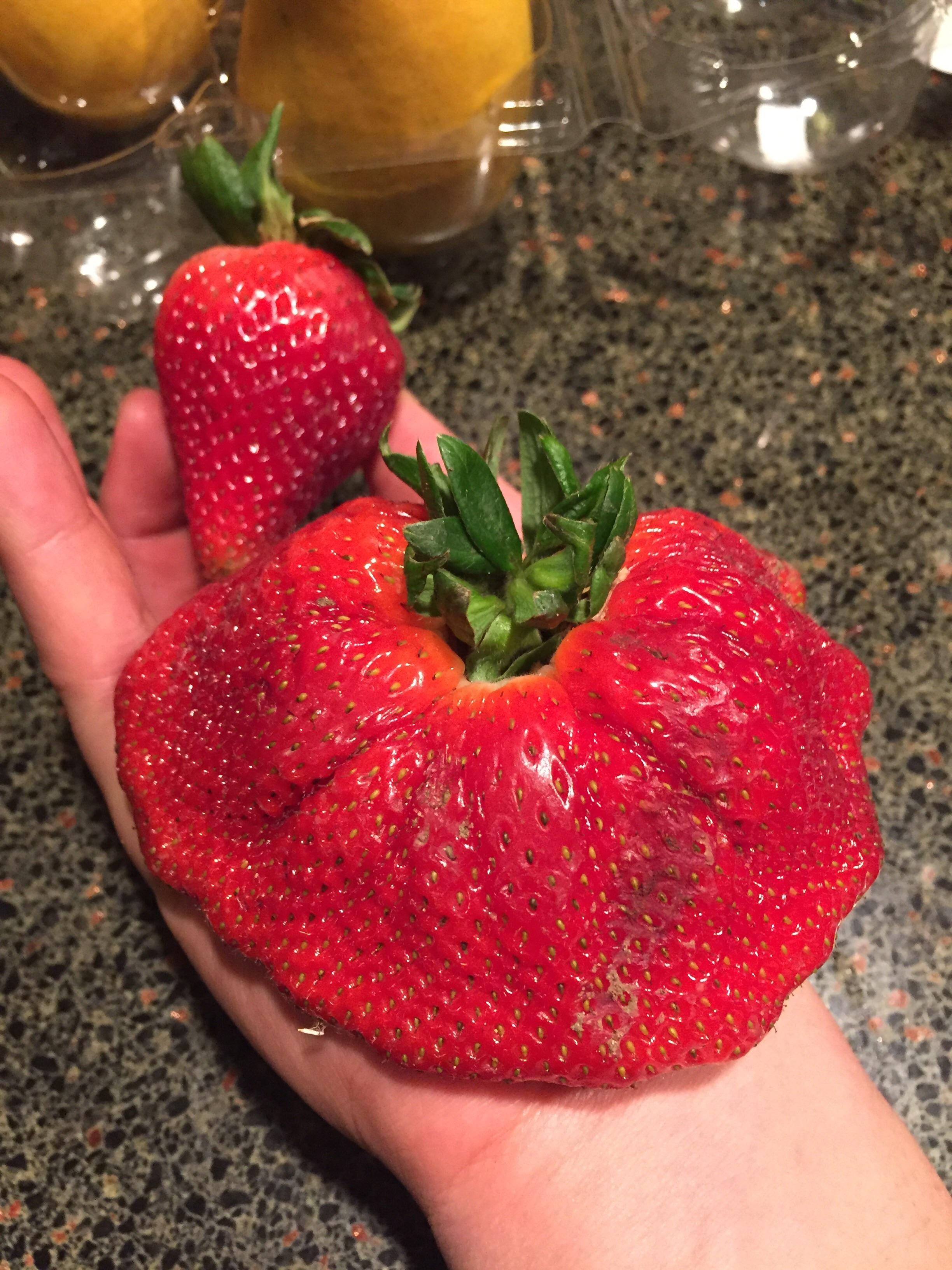 Weird Strawberries