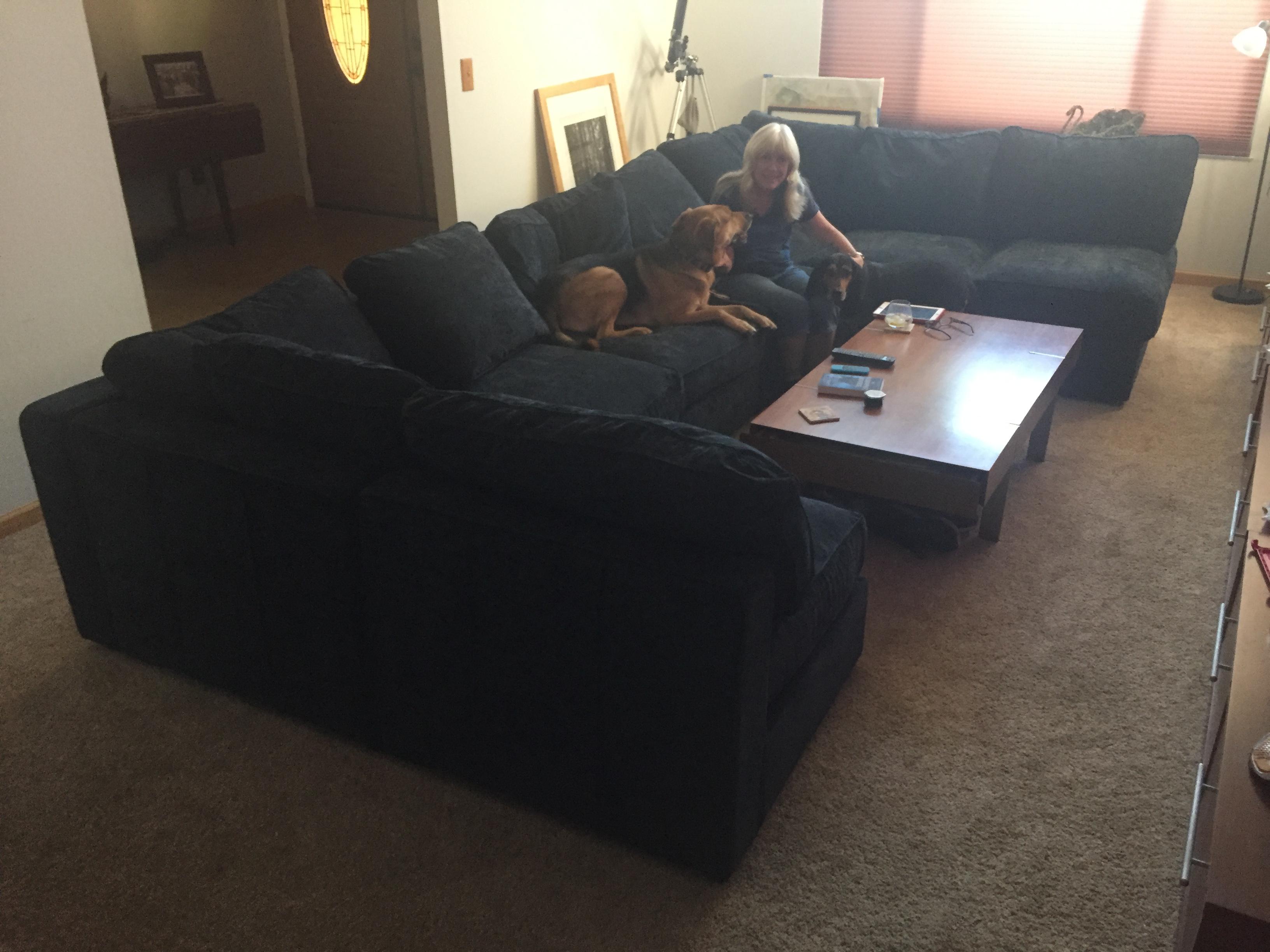 Our new Sactional! r/Lovesac