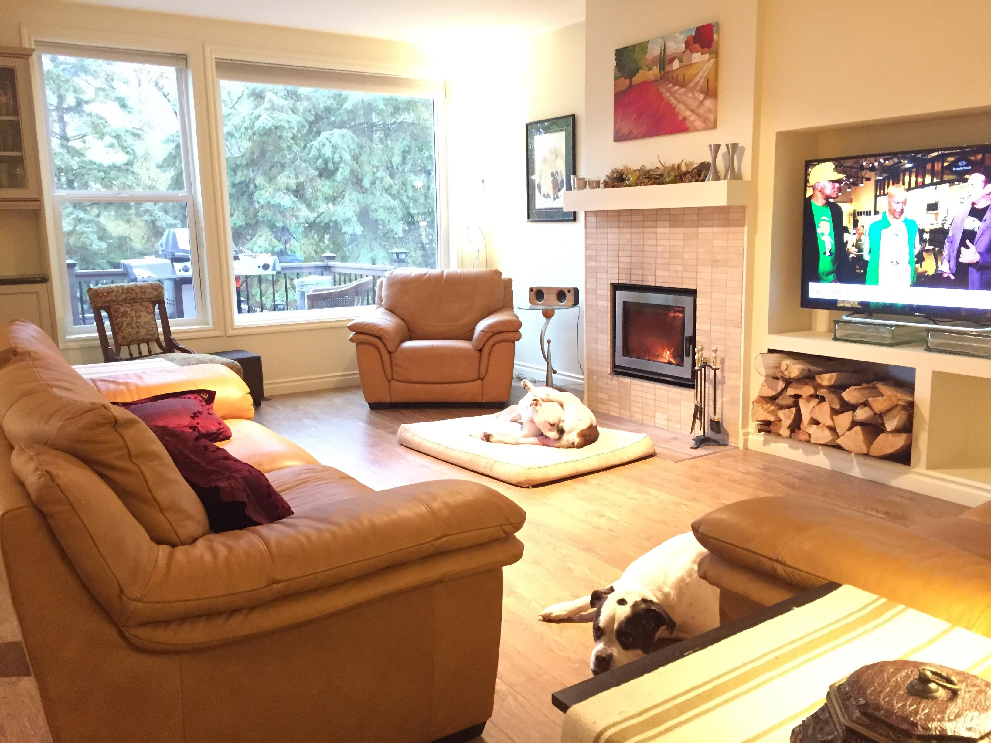 Newtous seating off Kijiji completes living room in new home