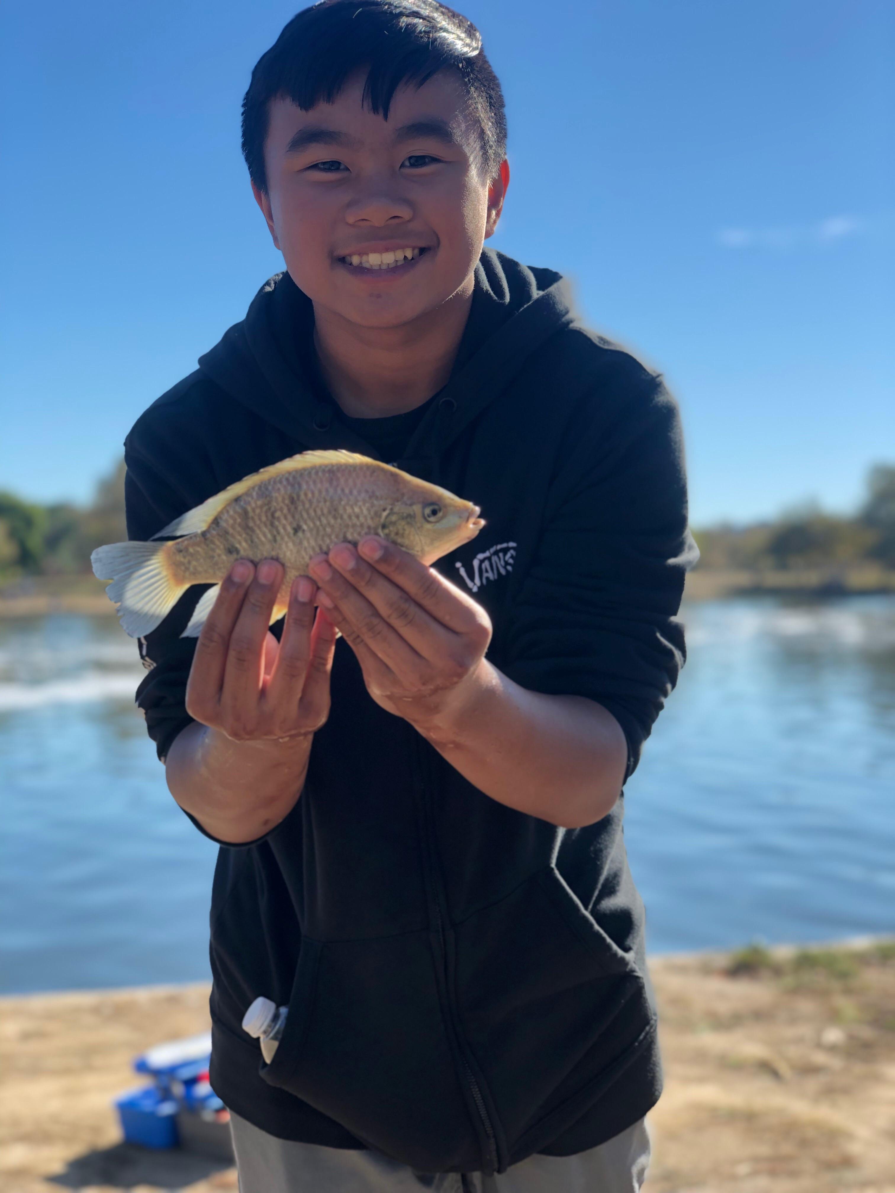 Another successful day of catching a Tilapia at Lake Balboa! r/Fishing