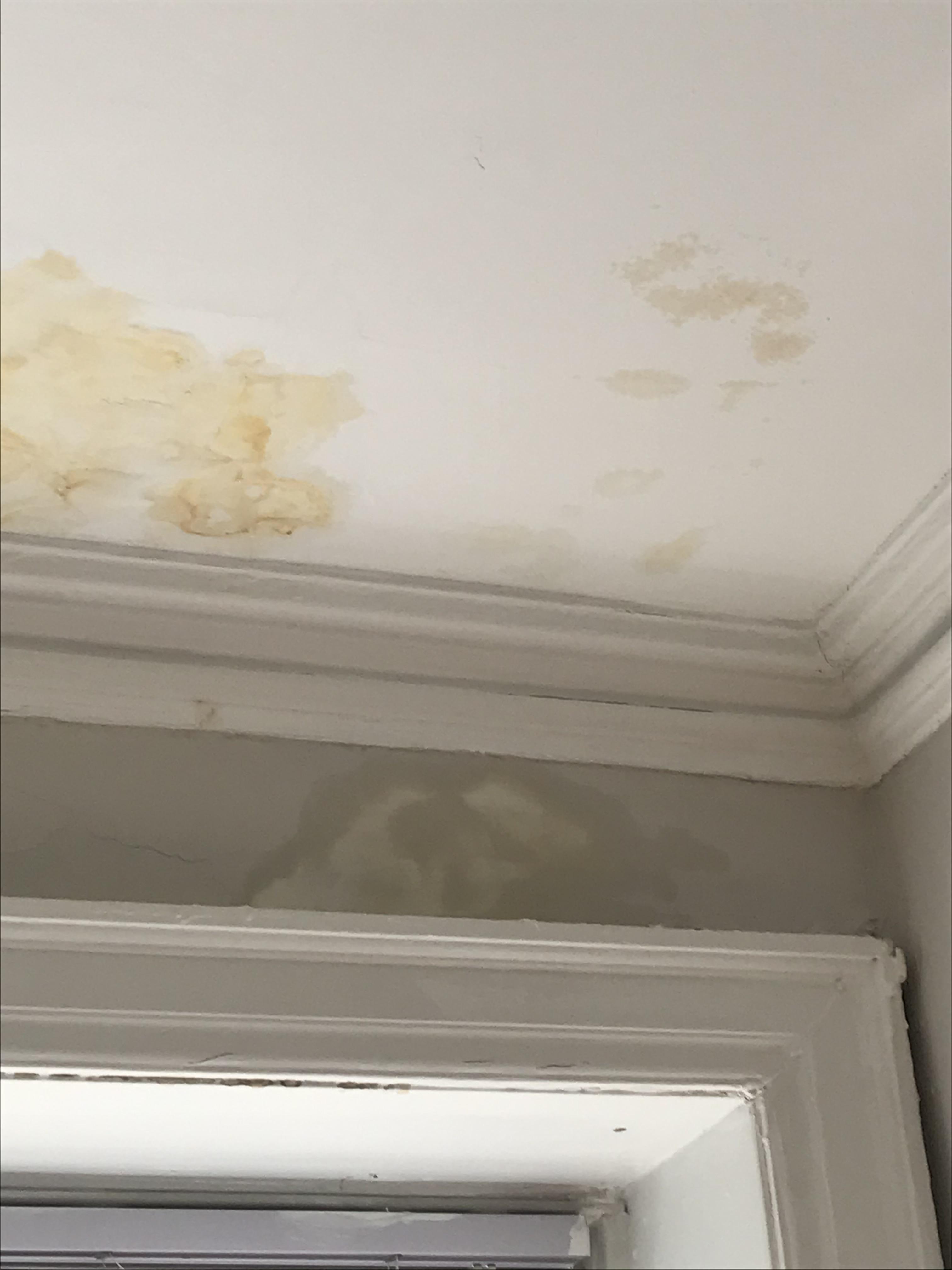 Yellow liquid started dripping from ceiling 2 weeks ago. Landlord says